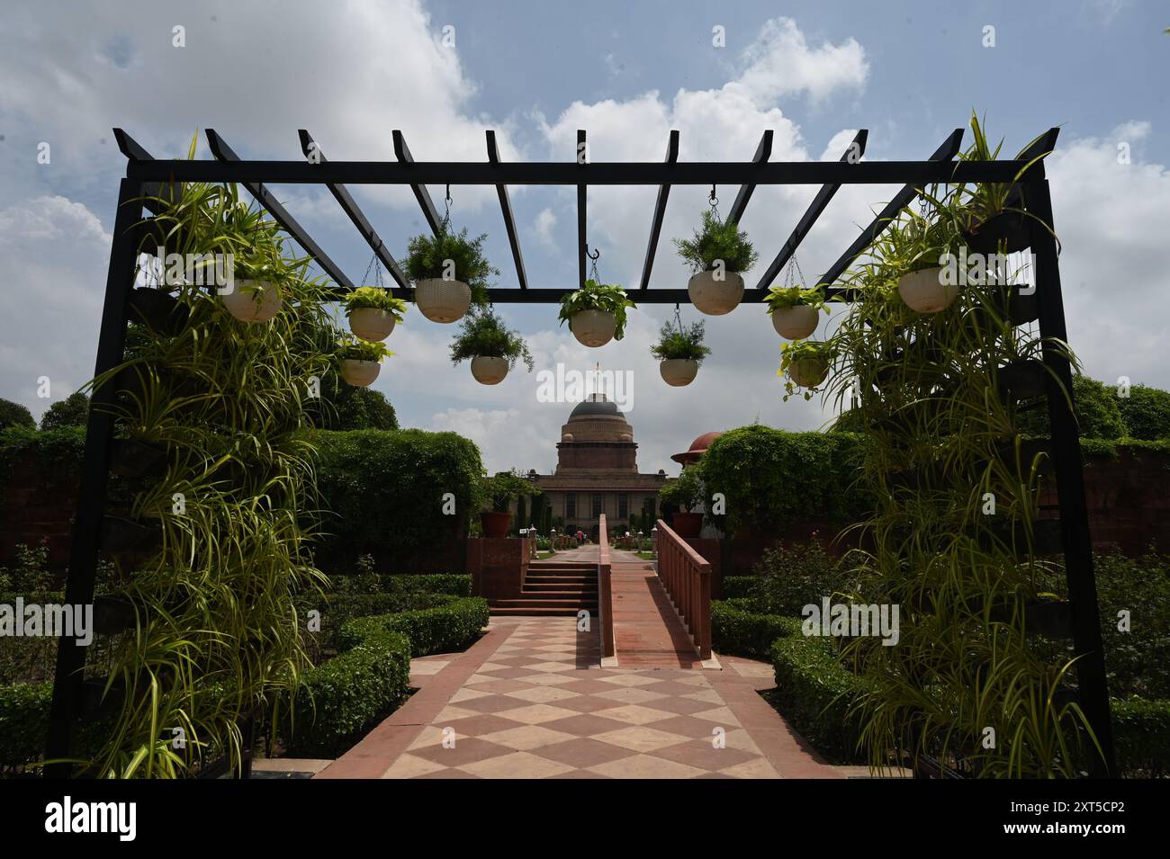 New Delhi, Inde. 13 août 2024. NEW DELHI, INDE - 13 AOÛT : fleurs en fleurs visite une fleur à l'Amrit Udyan, à Rashtrapati Bhavan le 13 août 2024 à New Delhi, Inde. Amrit Udyan sera ouvert au grand public du 16 août 2024 au 16 septembre 2024 (sauf le lundi) dans le cadre de l'édition annuelle d'été Amrit Udyan, 2024. (Photo de Sonu mehta/Hindustan Times/Sipa USA) crédit : Sipa USA/Alamy Live News Banque D'Images