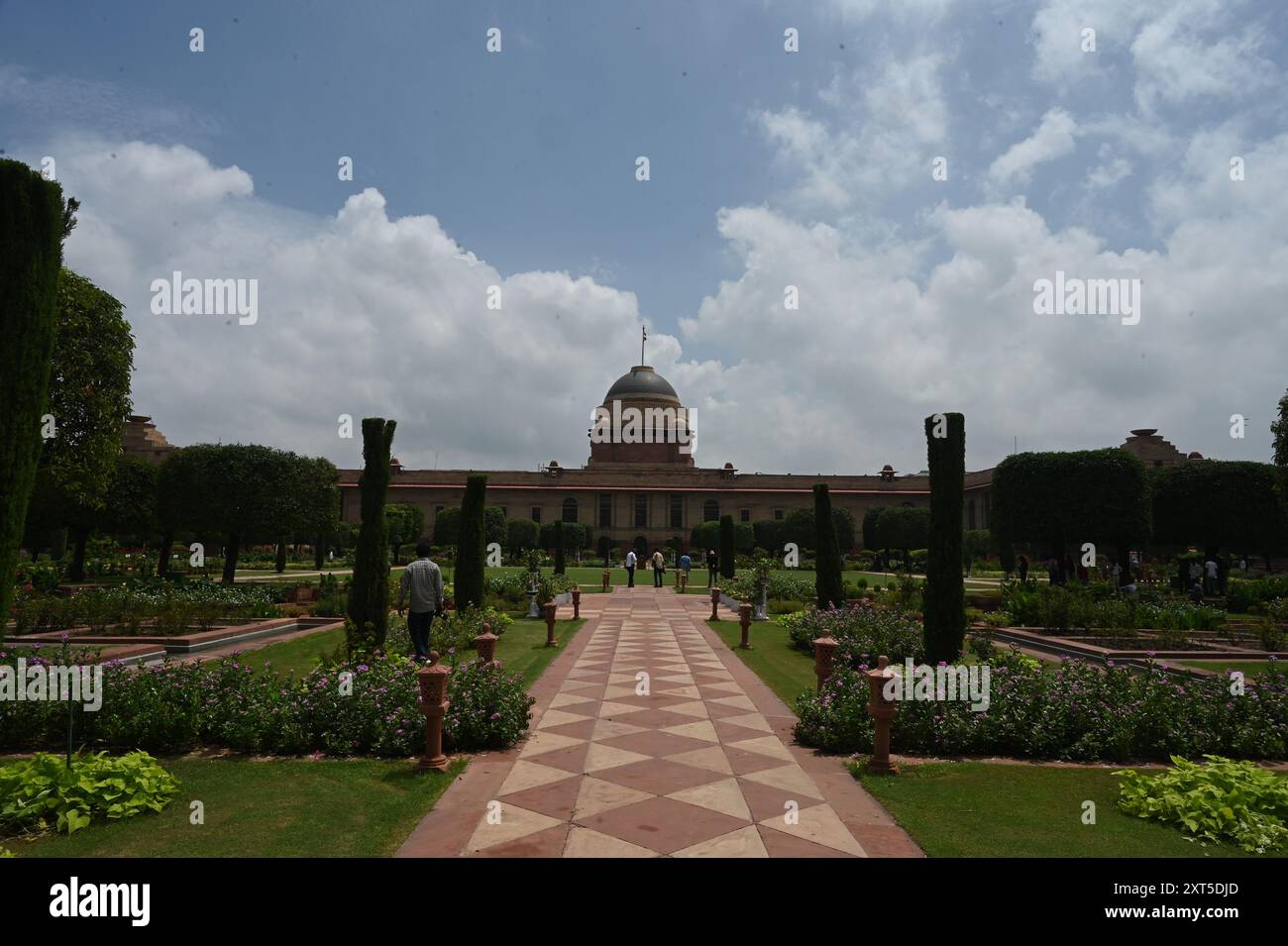 New Delhi, Inde. 13 août 2024. NEW DELHI, INDE - 13 AOÛT : fleurs en fleurs visite une fleur à l'Amrit Udyan, à Rashtrapati Bhavan le 13 août 2024 à New Delhi, Inde. Amrit Udyan sera ouvert au grand public du 16 août 2024 au 16 septembre 2024 (sauf le lundi) dans le cadre de l'édition annuelle d'été Amrit Udyan, 2024. (Photo de Sonu mehta/Hindustan Times/Sipa USA) crédit : Sipa USA/Alamy Live News Banque D'Images