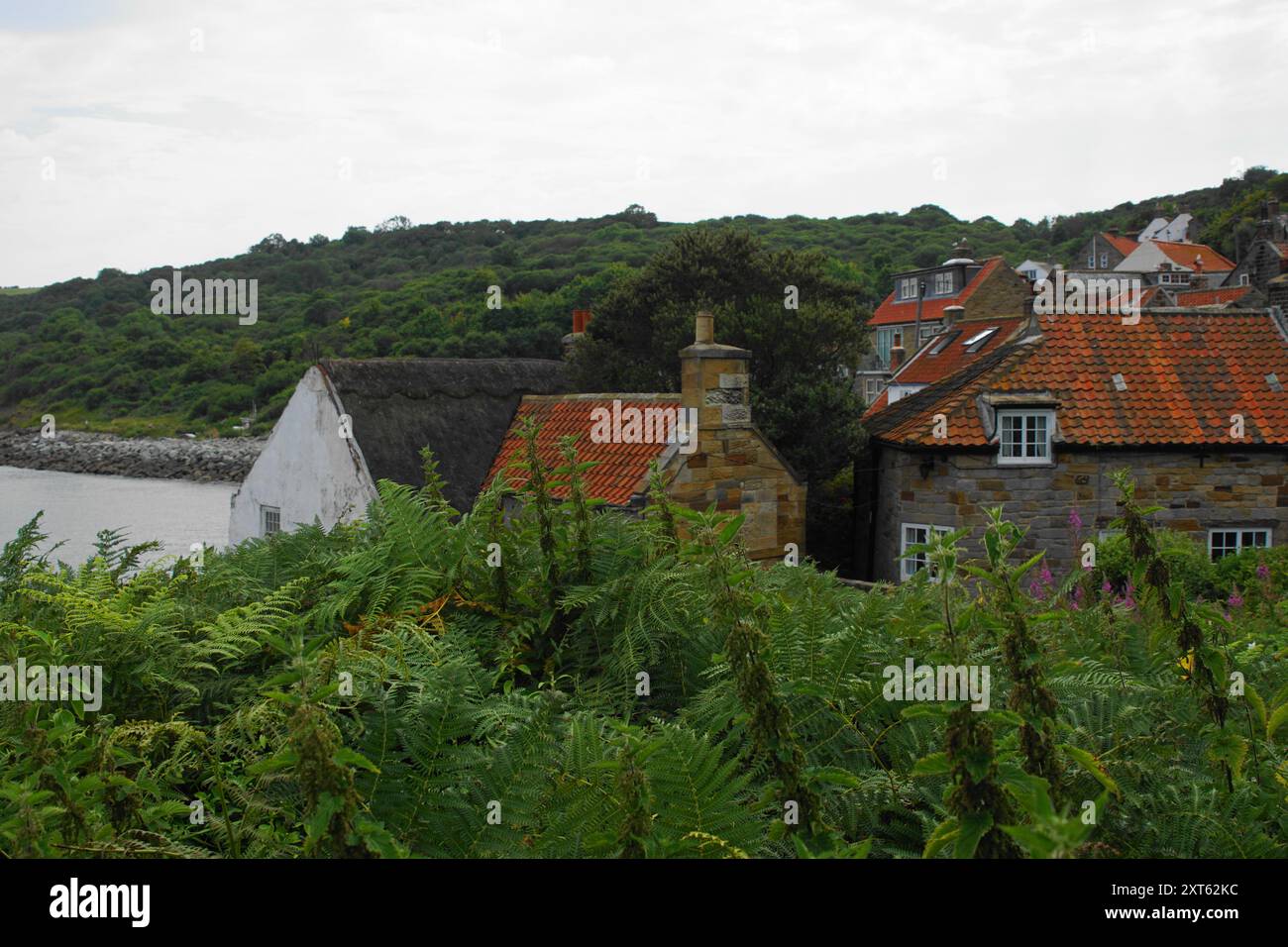 Les rues du village de Runswick Bay dans le Yorkshire du Nord, Angleterre, Royaume-Uni Banque D'Images