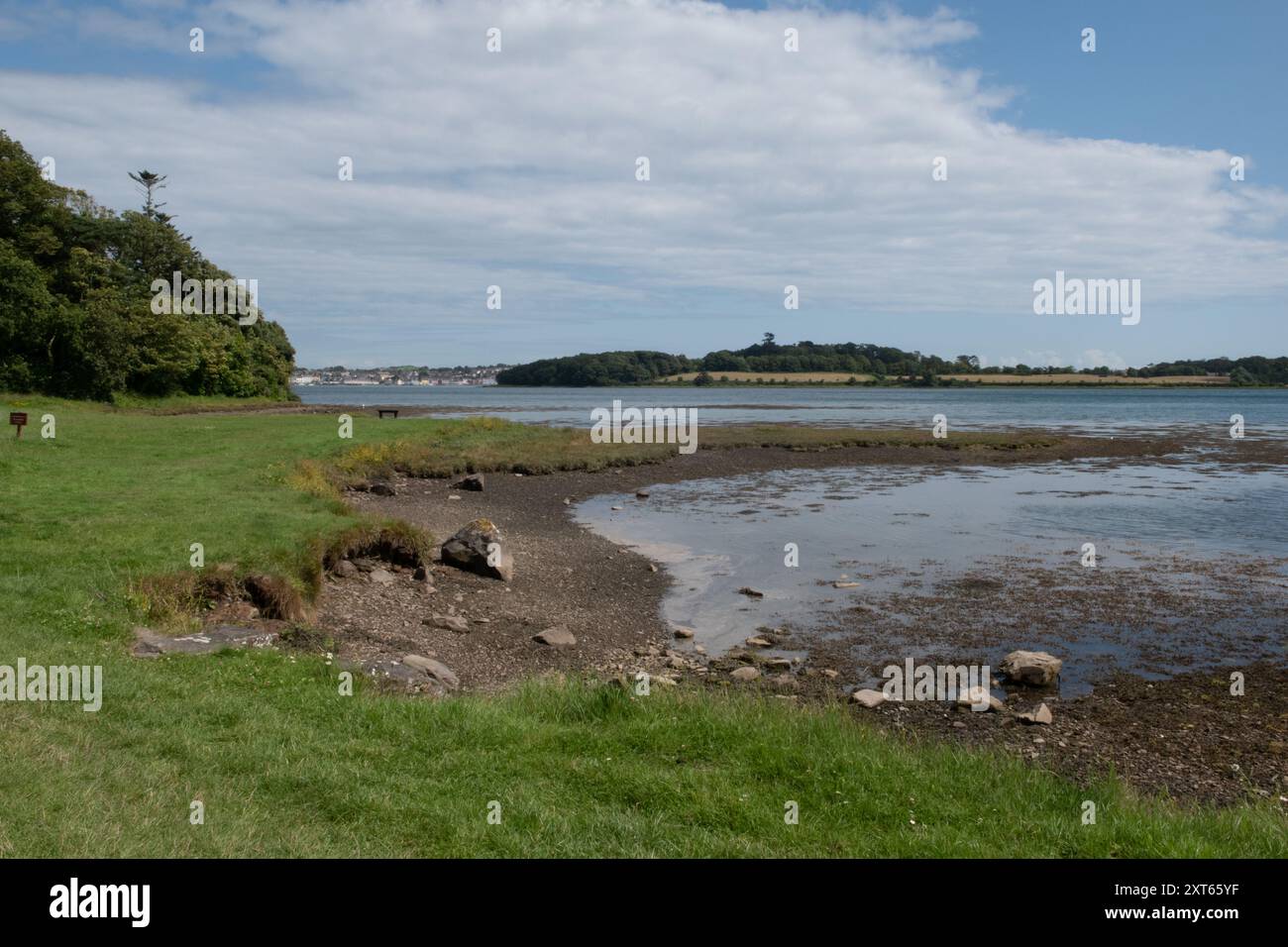 Strangford Lough à Castle Ward, comté de Down, Irlande du Nord Banque D'Images