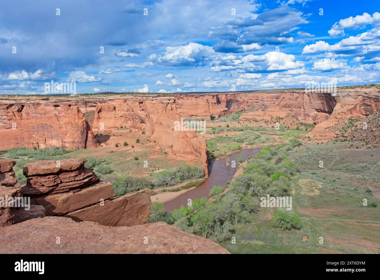 Le ruisseau Chinle serpente à travers le fond de la vallée verdoyante sous le bord du Canyon de Chelly à Tsegi Overlook au printemps Banque D'Images