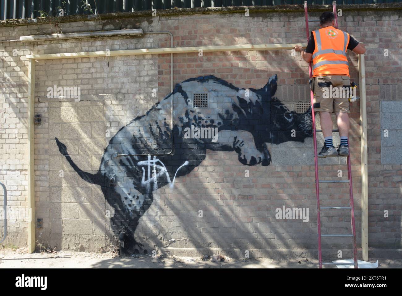 Le rhinocéros de Banksy à Charlton a été marqué quelques heures après son dévoilement et le lendemain, l'œuvre était protégée. Banque D'Images