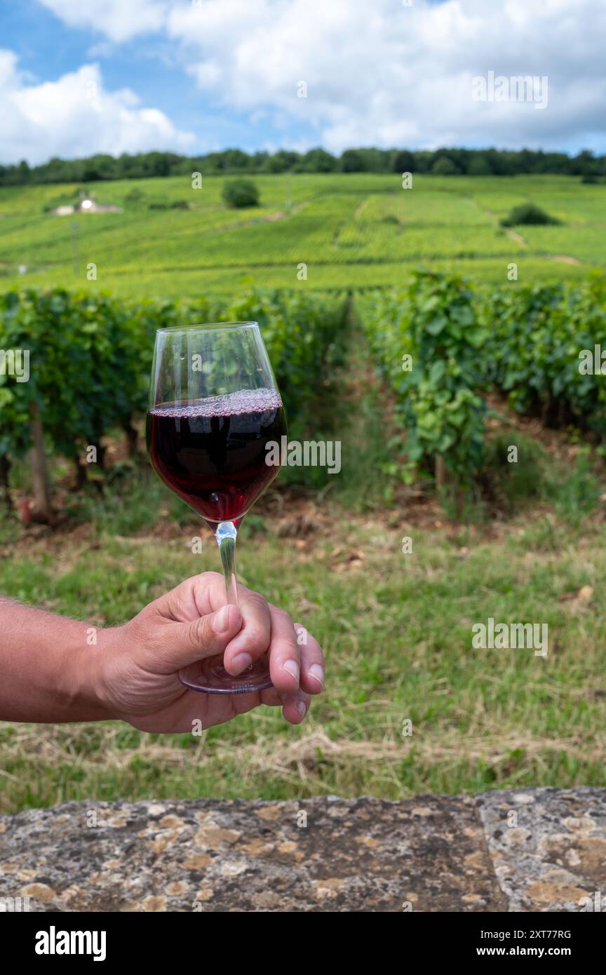 Boire du vin rouge pinot noir sur les vignobles grand cru avec croix et murs de pierre en Côte de nuits, faire du célèbre vin rouge et blanc de Bourgogne en Bu Banque D'Images