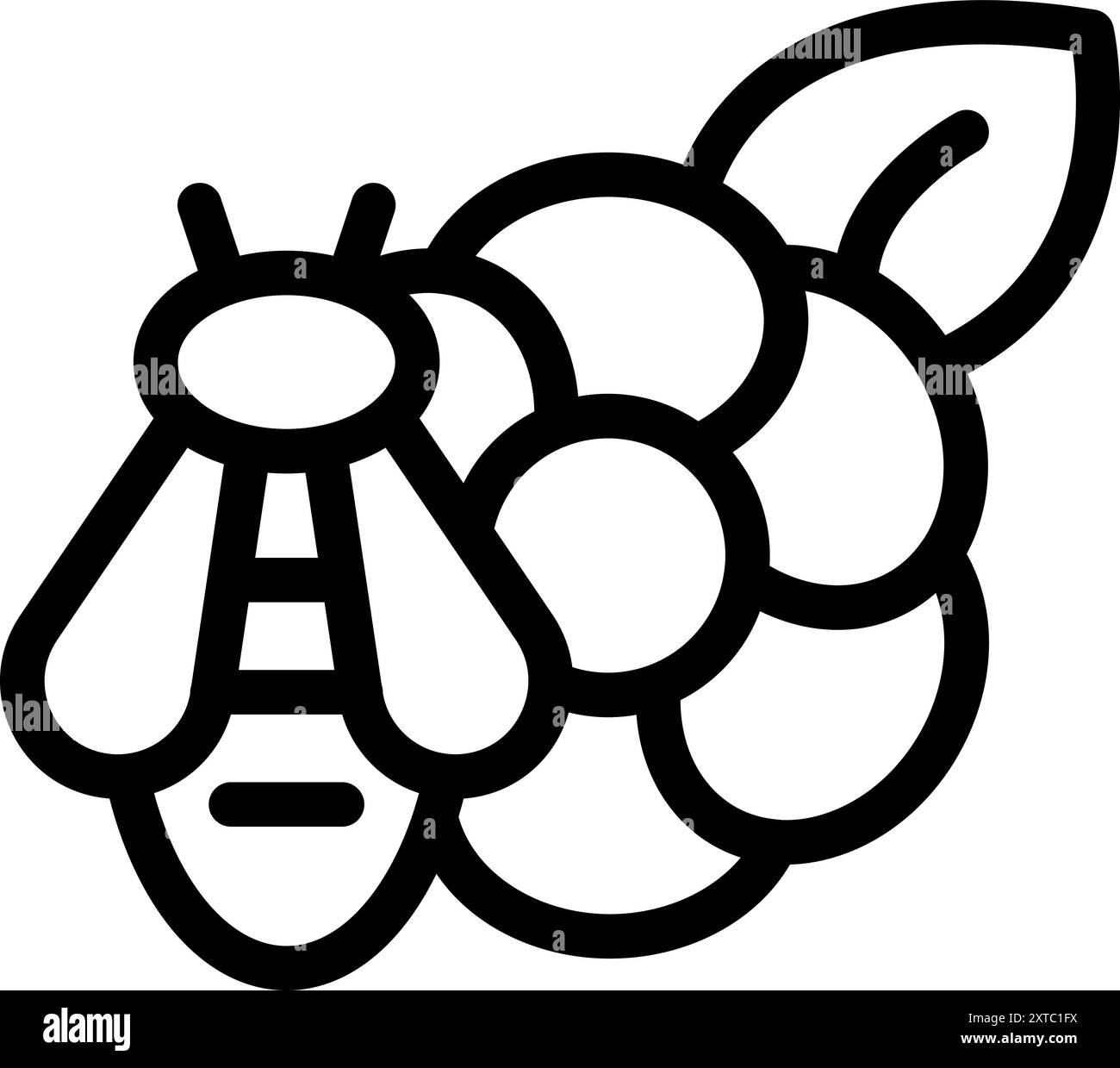 Simple icône noire et blanche d'une abeille pollinisant une plante de framboise Illustration de Vecteur
