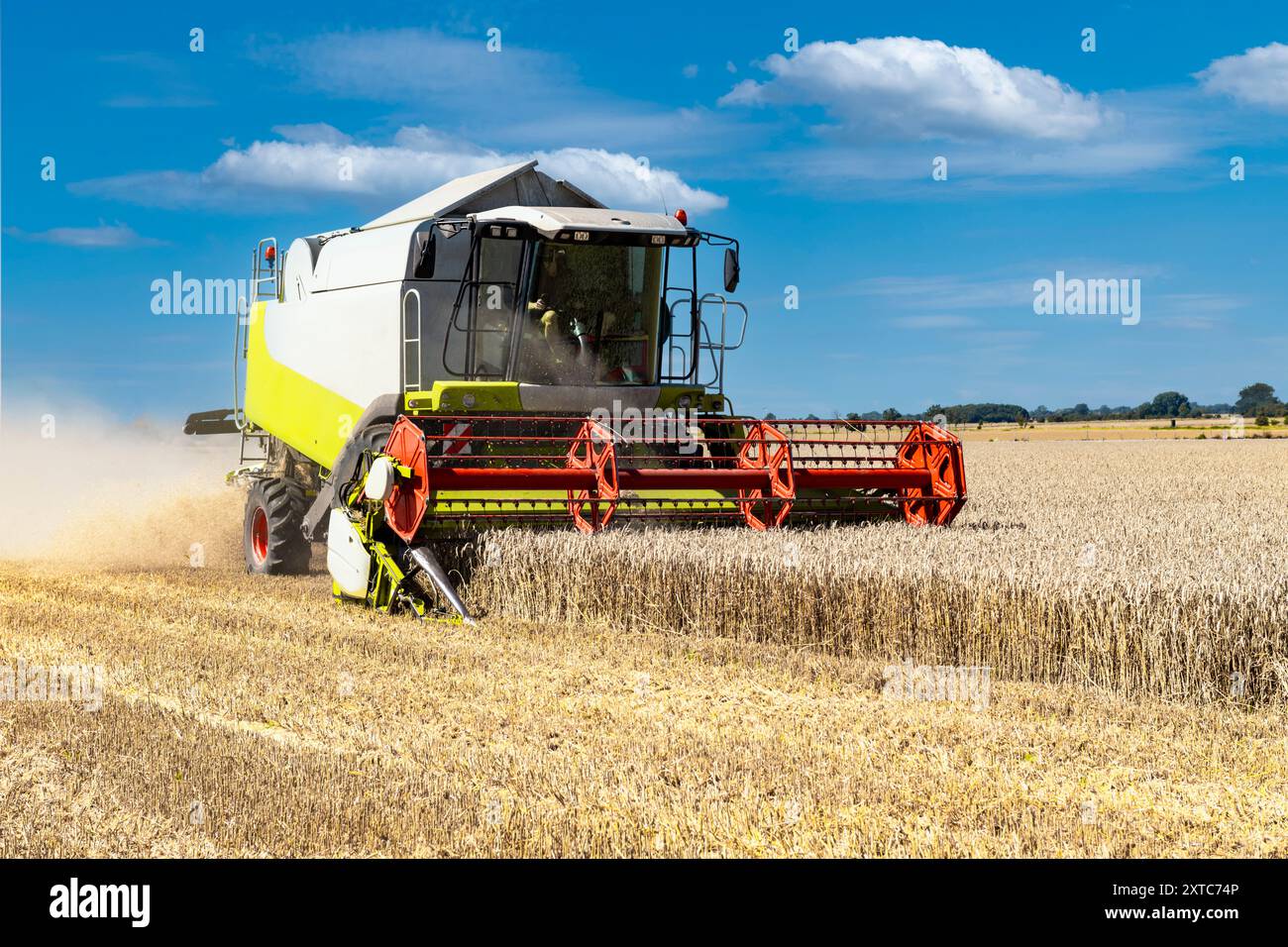 Une petite moissonneuse-batteuse dans le champ de céréales pendant la récolte - 1976 Banque D'Images