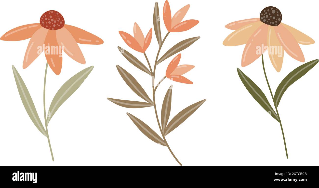 Une illustration florale automnale simple avec deux coneflowers stylisés et une branche avec des fleurs oranges, utilisant des tons doux d'orange, brun et vert Illustration de Vecteur