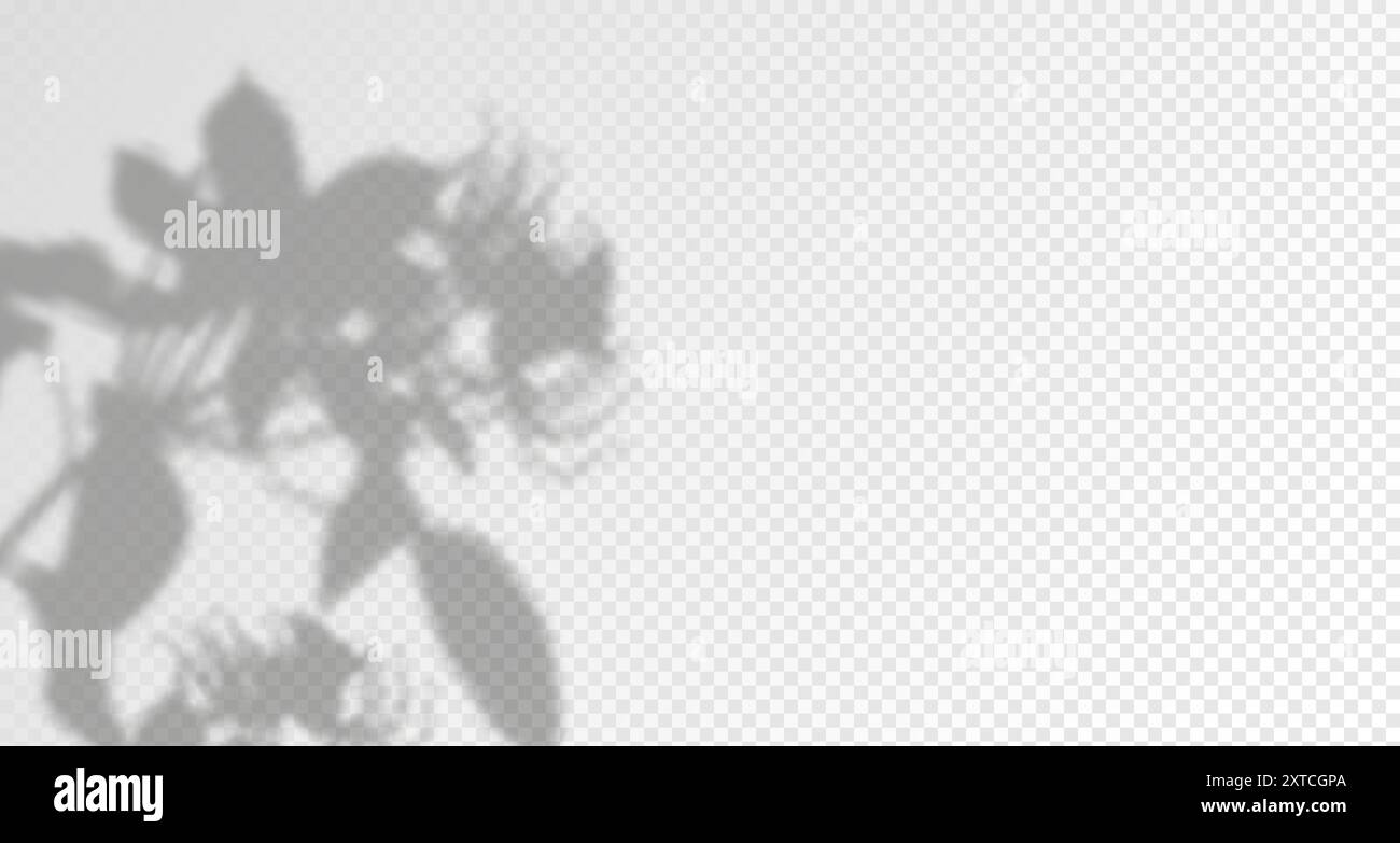 . Arrière-plan abstrait pour la présentation du produit. Éclairage naturel. Éblouissement des rayons du soleil sur le mur. Ombres floues des feuilles et des plantes en t Illustration de Vecteur