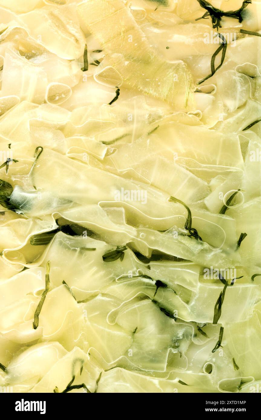 Sauerkraut fermenté Lacto Banque D'Images
