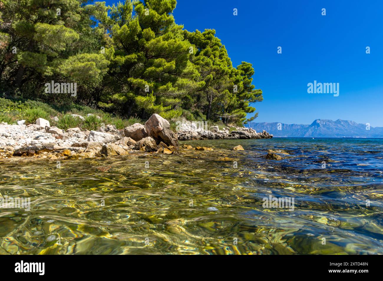 Plage rocheuse sauvage avec des palmiers sur la mer Adriatique sur la péninsule de Peljesac Luka Beach Croatie Banque D'Images