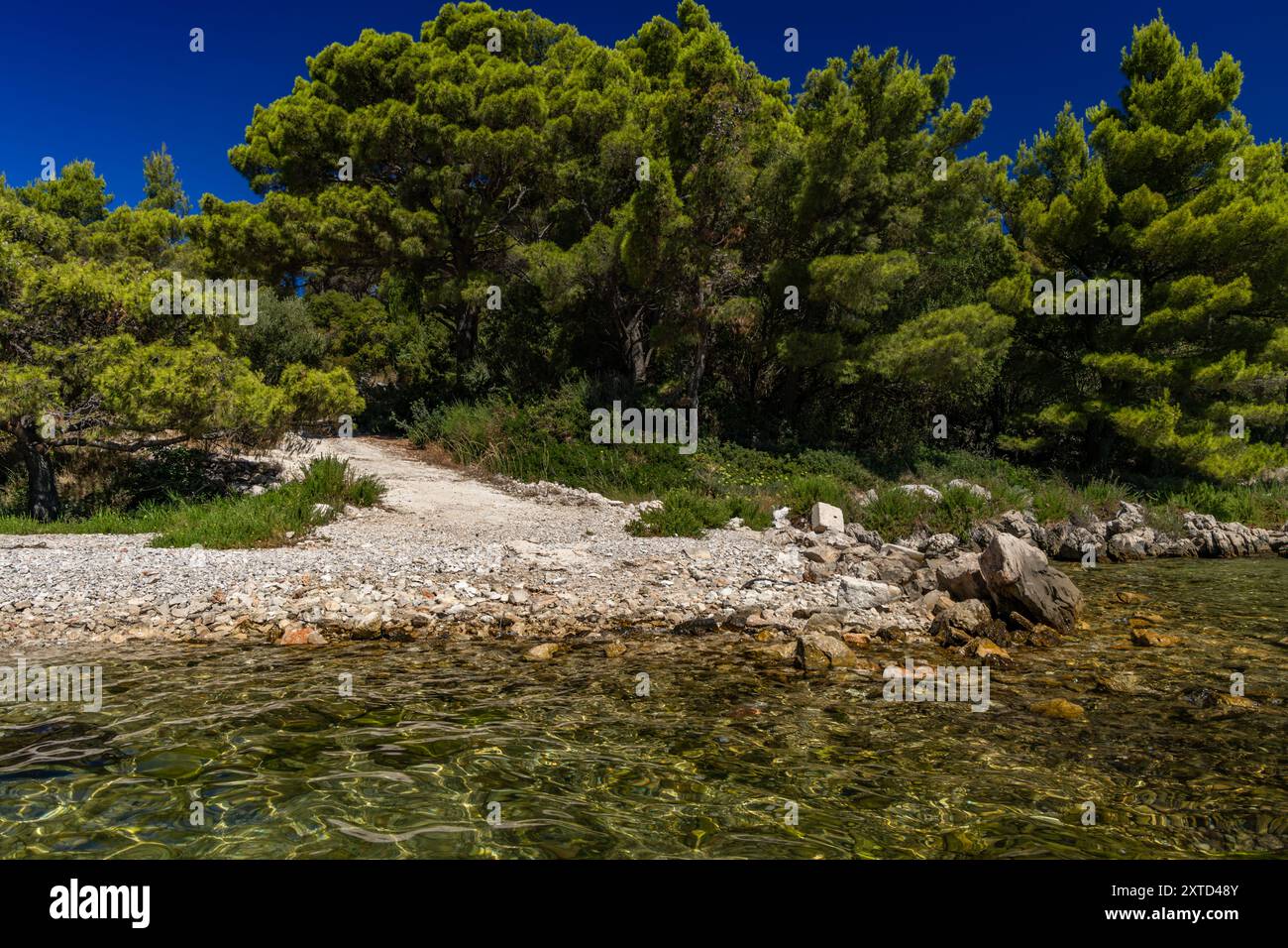 Plage rocheuse sauvage avec des palmiers sur la mer Adriatique sur la péninsule de Peljesac Luka Beach Croatie Banque D'Images