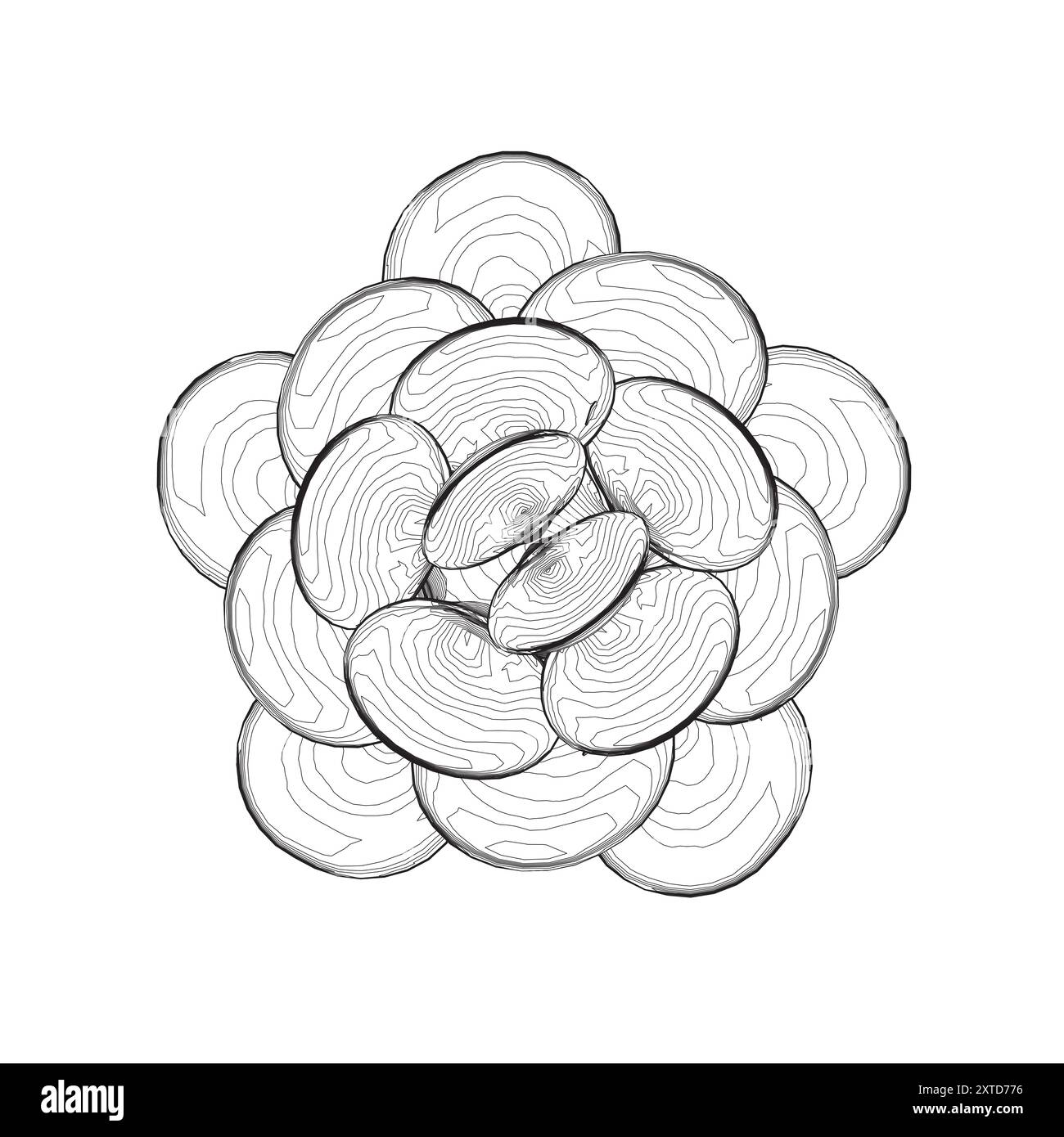 Contour de coquillages empilés les uns sur les autres dans un cercle de lignes noires isolées sur fond blanc. Illustration vectorielle. Illustration de Vecteur