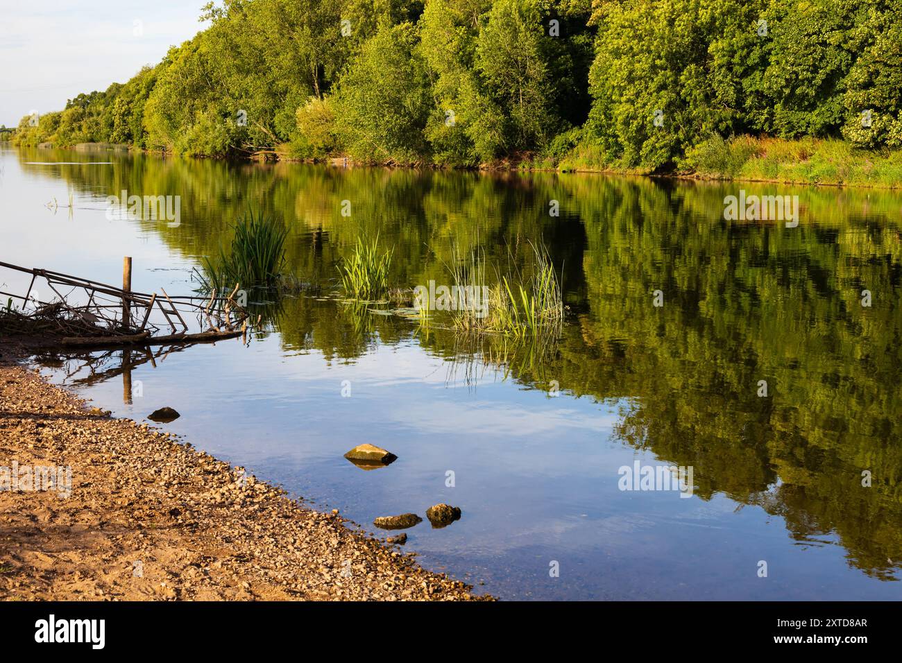 Reflets de forêt verte dans la rivière Trent, Gunthorpe, Nottinghamshire, Angleterre Banque D'Images