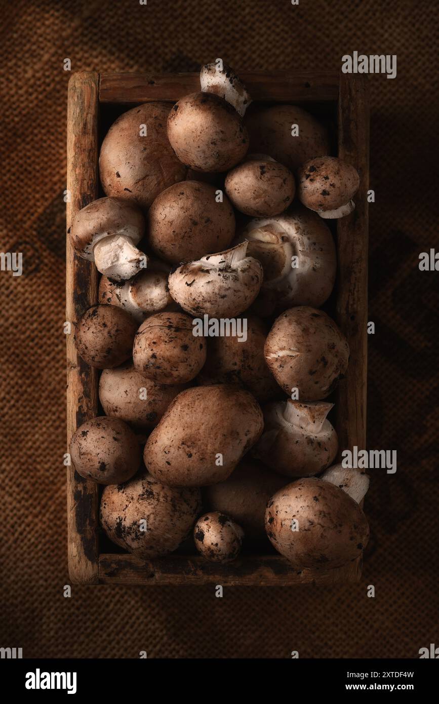 Champignons Baby Bella dans une boîte en bois sur la nature morte en toile de jute Banque D'Images