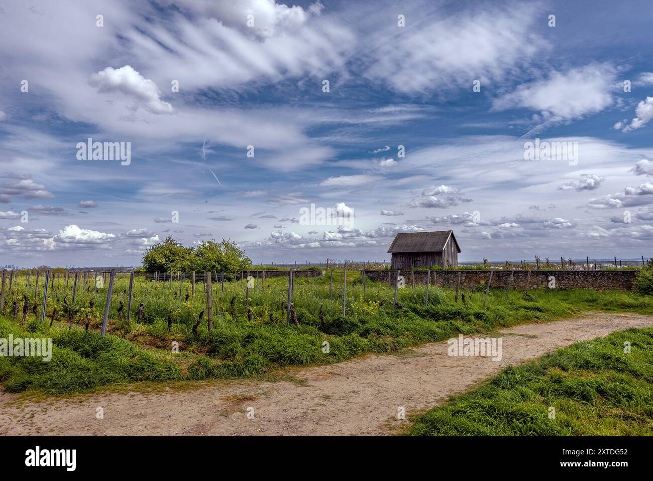 Vue du Florsheimer Warte à la plaine Rhin-main, Hesse, Allemagne Banque D'Images