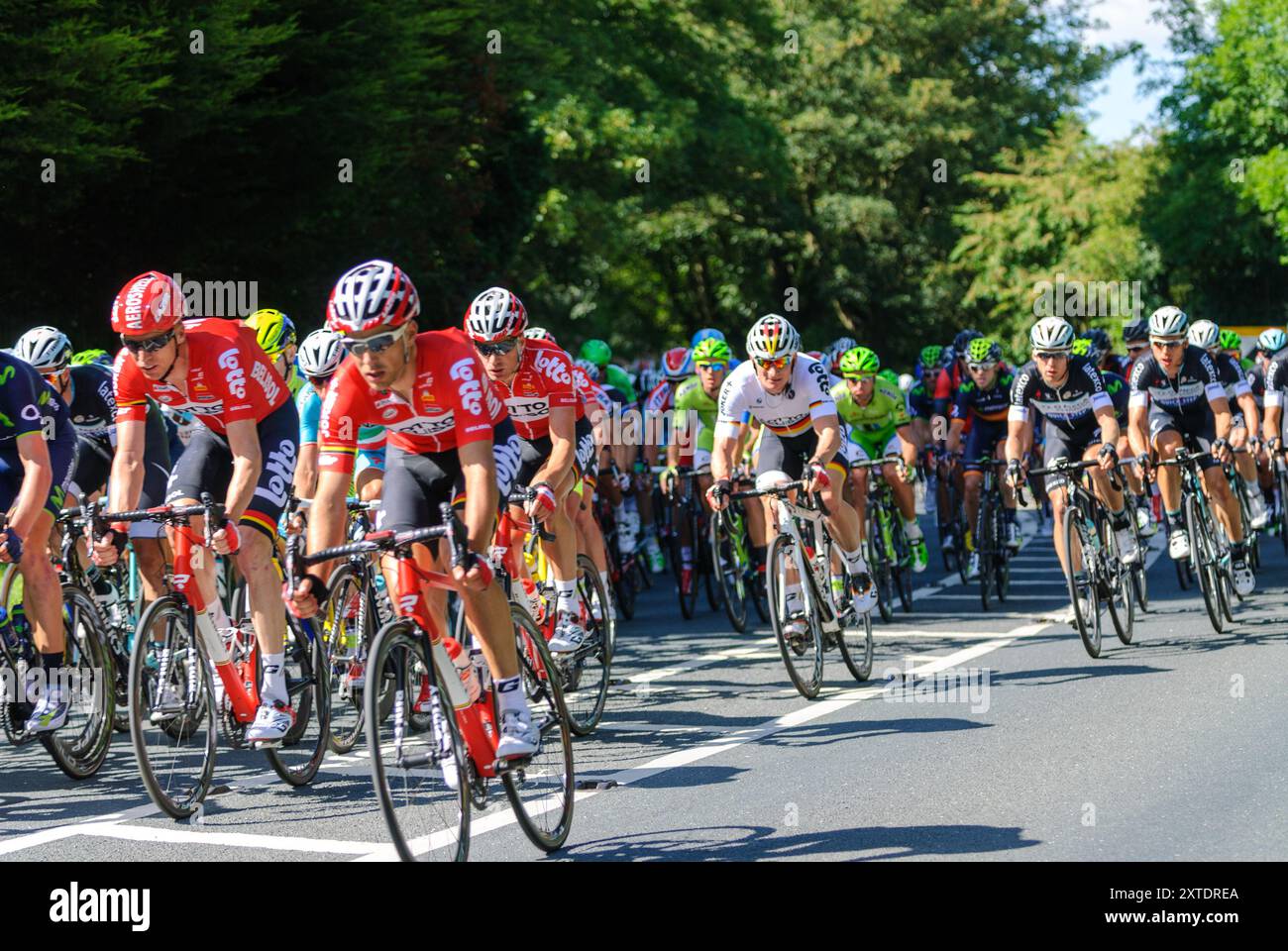 Tor de France, le Grand départ - course cycliste en direction du sud de Ripon à Harrogate dans le Yorkshire du Nord Banque D'Images Tor de France, le Grand départ - course cycliste en direction du sud de Ripon à Harrogate dans le Yorkshire du Nord Banque D'Images