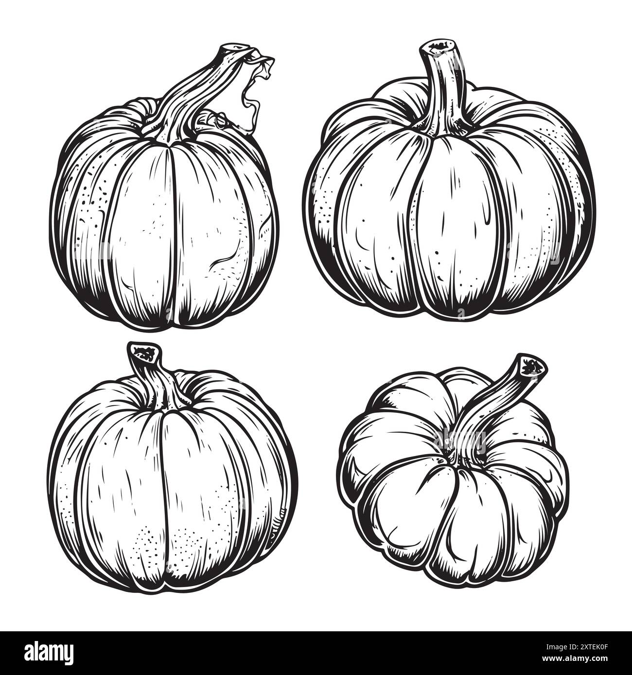 Collection de citrouilles graphiques à l'encre dessinées à la main pour votre conception vecteur Illustration de Vecteur