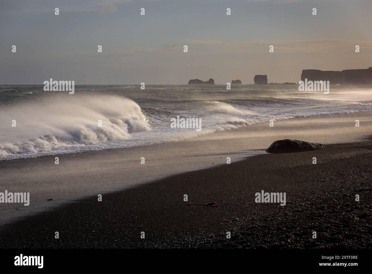 Vagues de baskets écrasant contre la côte de la plage de sable noir de Reynisfjara, avec des vents forts soufflant de l'eau et du sable noir volcanique, coucher de soleil, Islande Banque D'Images