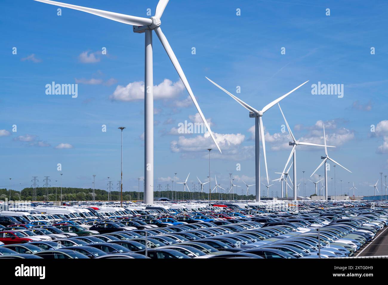 Zone de stockage pour les voitures neuves dans le port de Vlissingen-Oost, les véhicules sont temporairement stockés sur plus de 100 hectares pour les expédier de l'Europe au Royaume-Uni, pour Banque D'Images