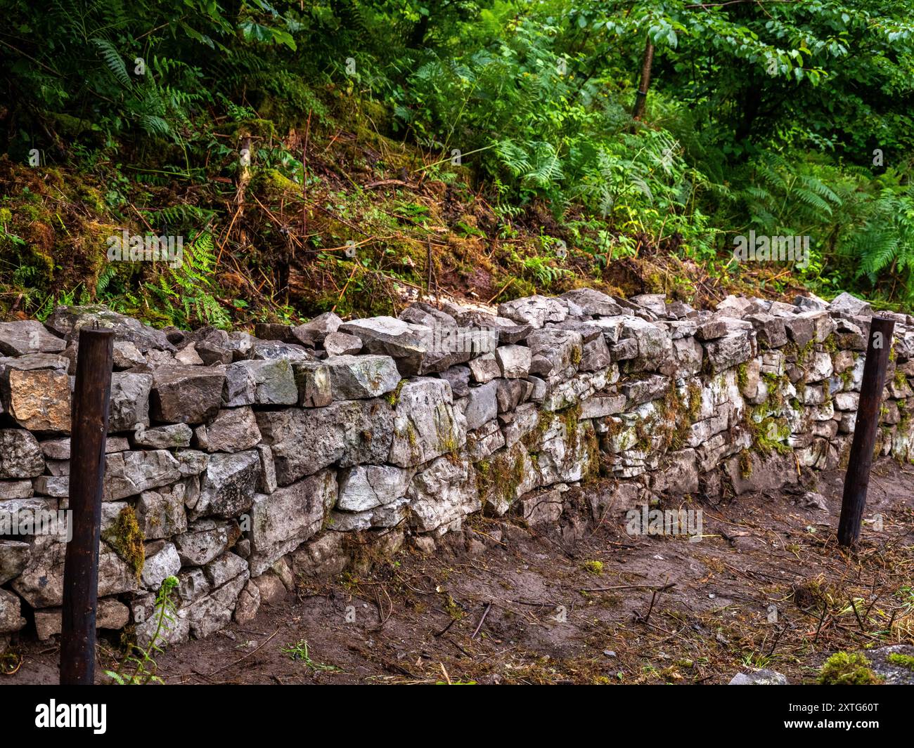 Juillet 2024 - mur de pierre sèche à Black Rock près de Cheddar, Somerset, Angleterre, Royaume-Uni. Banque D'Images