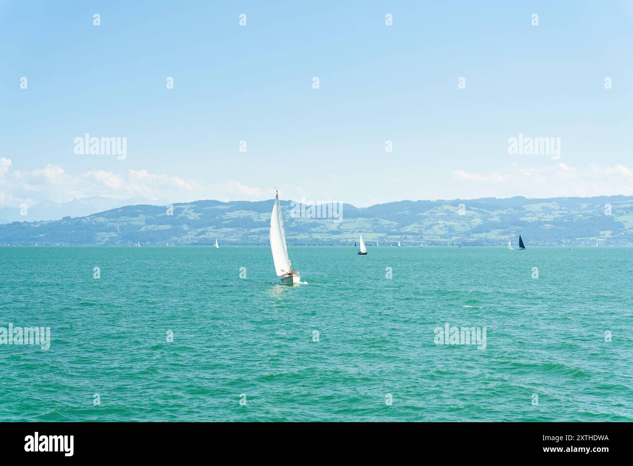 Voiliers en été sur le lac de Constance, Bodensee en Allemagne près de la ville de Meersburg Banque D'Images