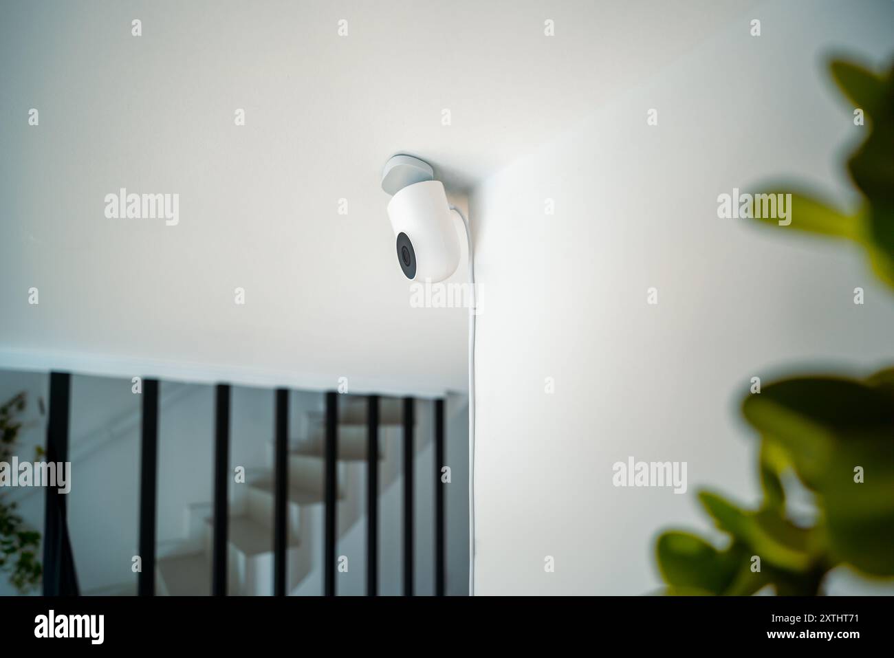 Sécurité à domicile. Caméra de surveillance de plafond CCTV. Automatisation des appareils intelligents. Télécommande intérieure domestique murs blancs plantes vertes. Banque D'Images
