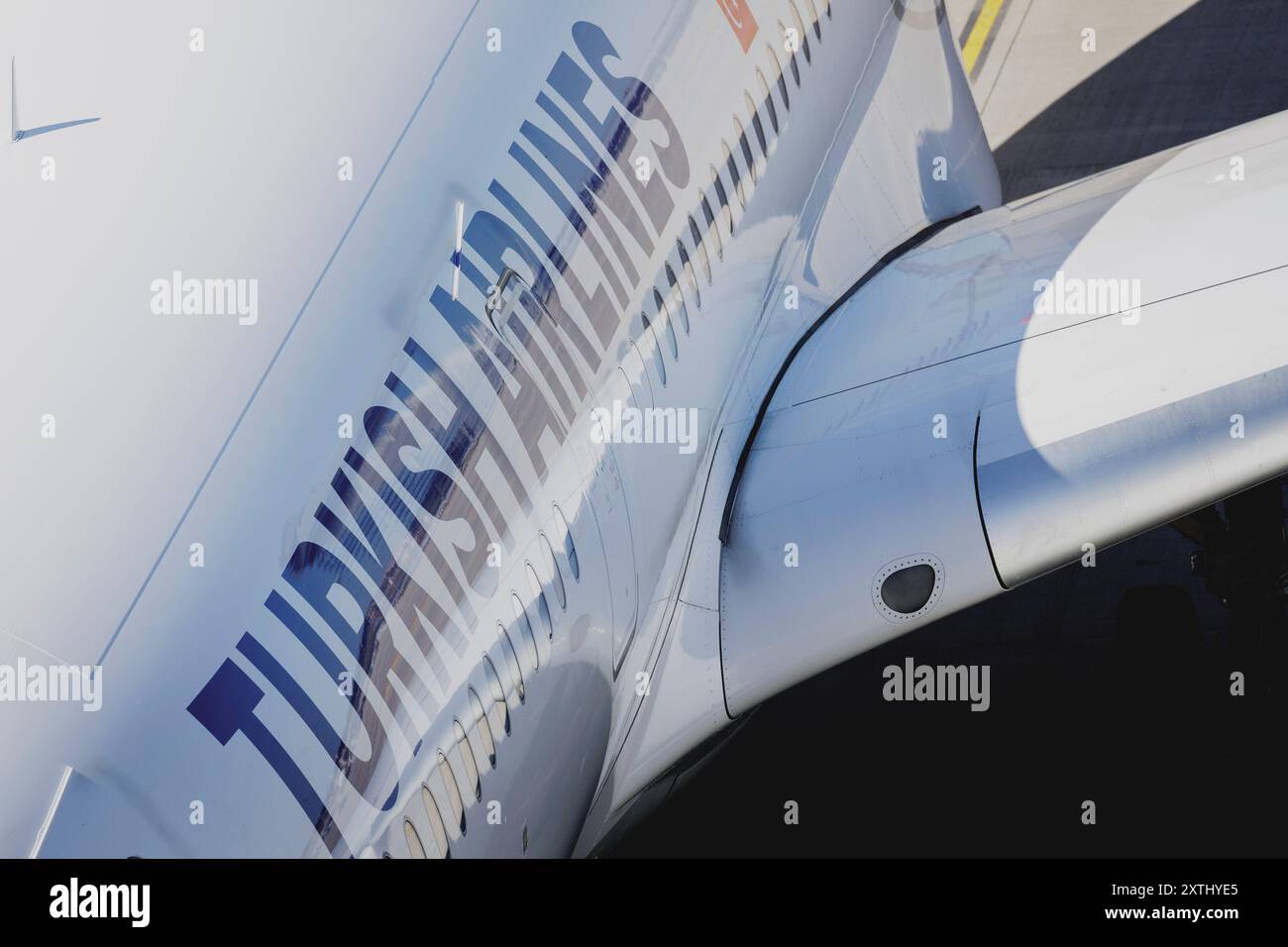 Schoenefeld, Deutschland. 12 août 2024. Avion Turkish Airlines, photographié à l'aéroport de Berlin Brandenburg 'Willy Brandt' (BER) à Schoenefeld, le 12 août 2024. Crédit : dpa/Alamy Live News Banque D'Images