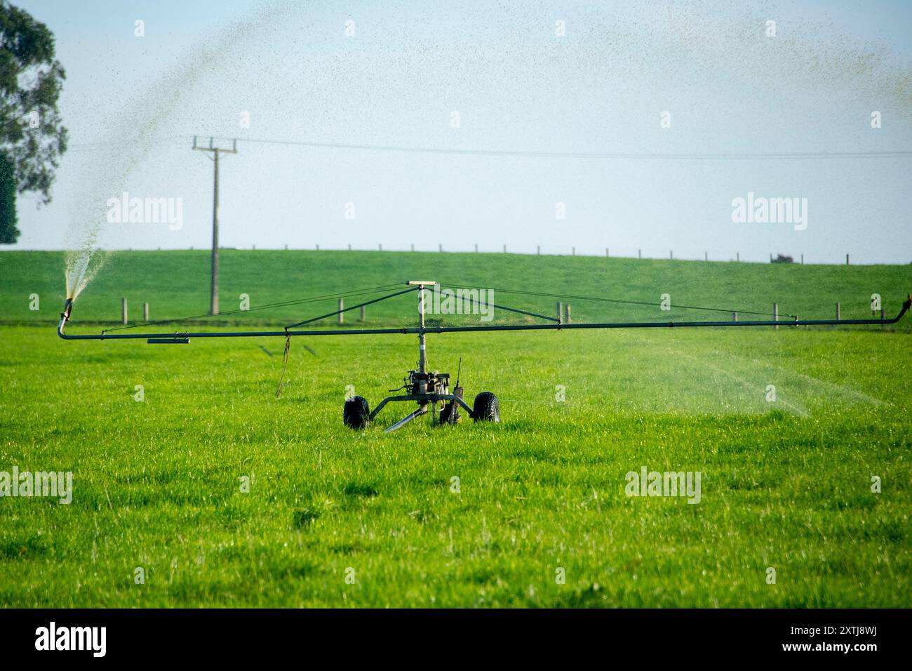 Irrigation à pivot central sur une ferme Banque D'Images