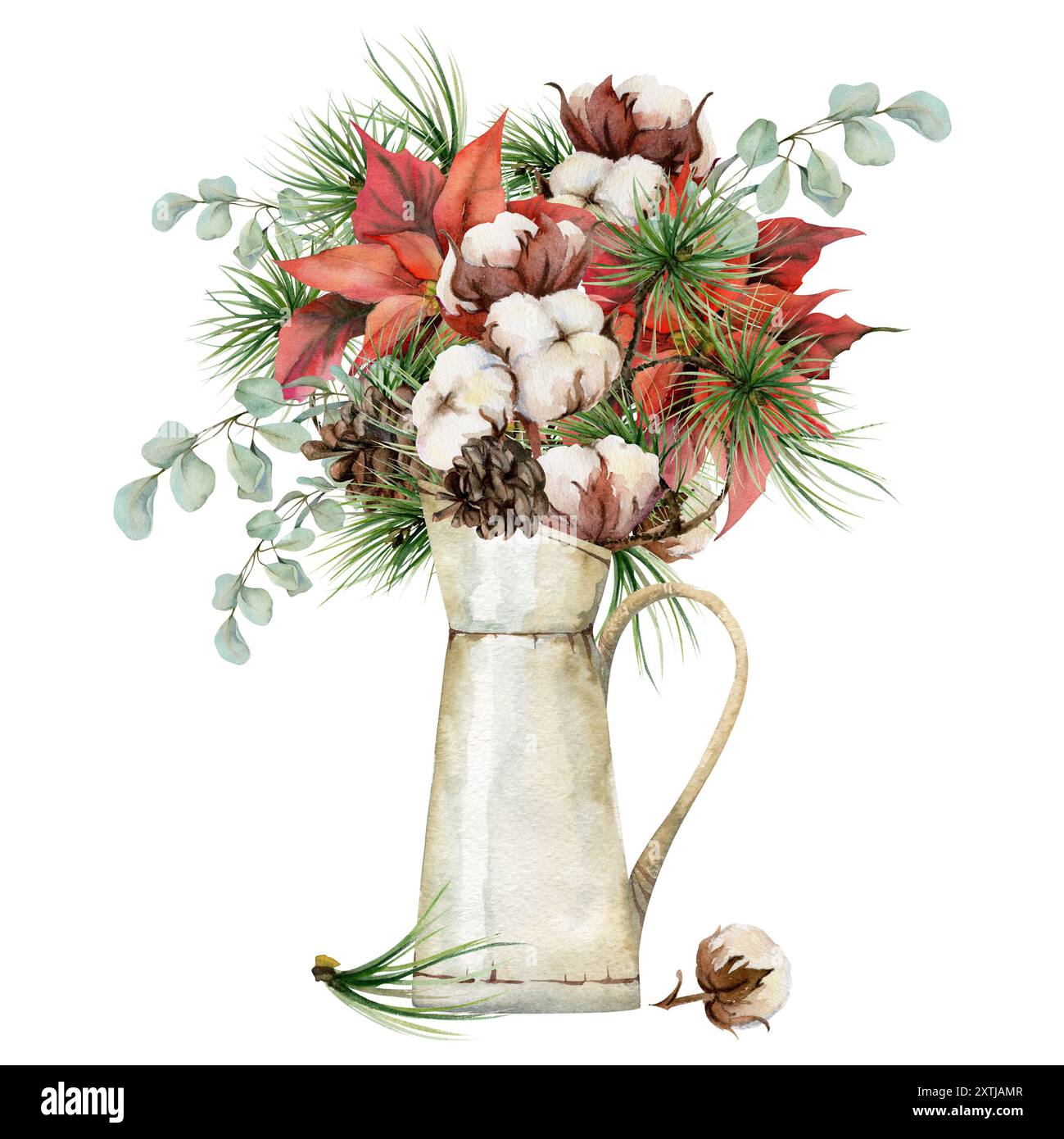 Coton de fleur de poinsettia, sapin pin épicéa, cônes de branches d'eucalyptus. Aquarelle illustration dessinée à la main, bouquet de vase isolé sur blanc. Noël Banque D'Images