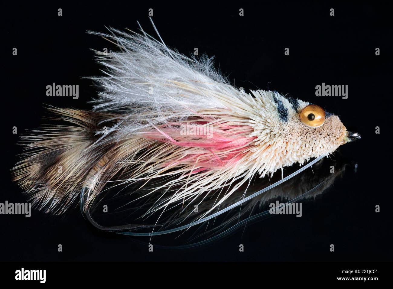 Leurre de pêche à la mouche fabriqué à partir de plumes sélectionnées coupées et attachées à un crochet en métal barbelé avec des yeux googly pour ressembler à un type de poisson mouche ou d'insecte aquatique Banque D'Images