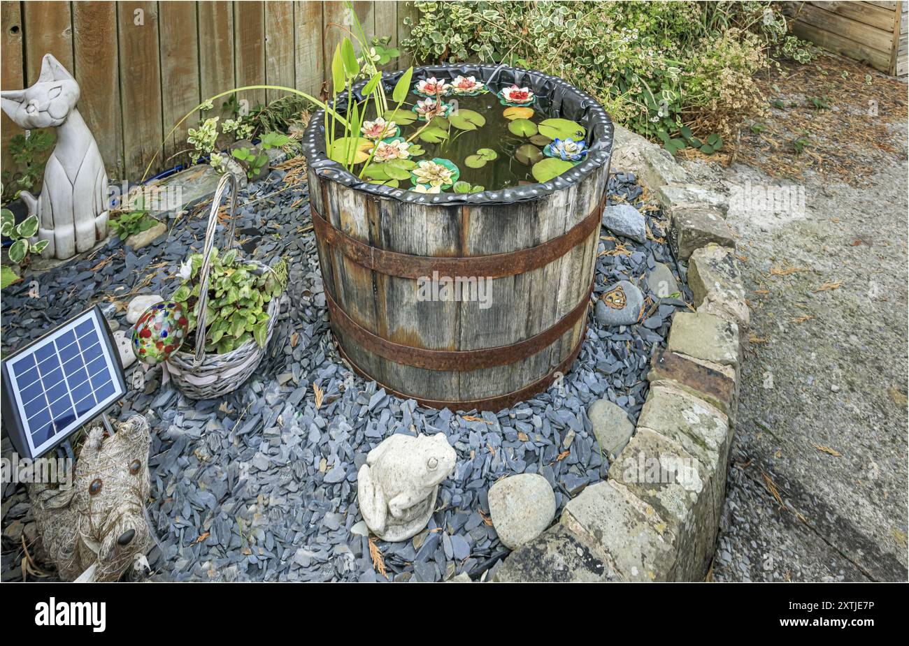 Winsford, Cheshire West et Chester, Royaume-Uni - 14 août 2024 - étang de jardin fait d'un vieux tonneau de vin dans un jardin de campagne anglais Banque D'Images