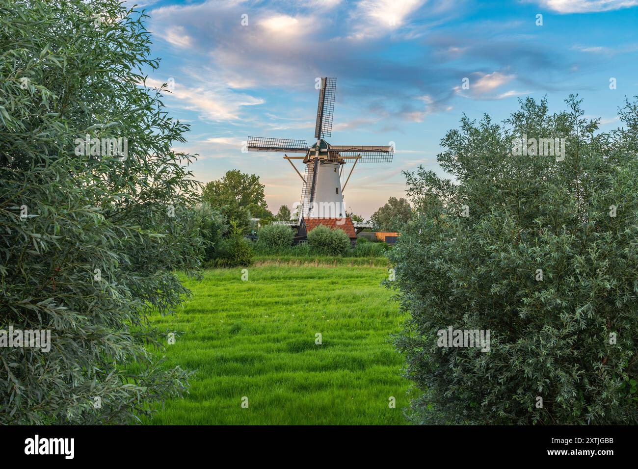 Paysage hollandais avec moulin à vent blanc historique à proximité de la ville de Gouda au coucher du soleil Banque D'Images