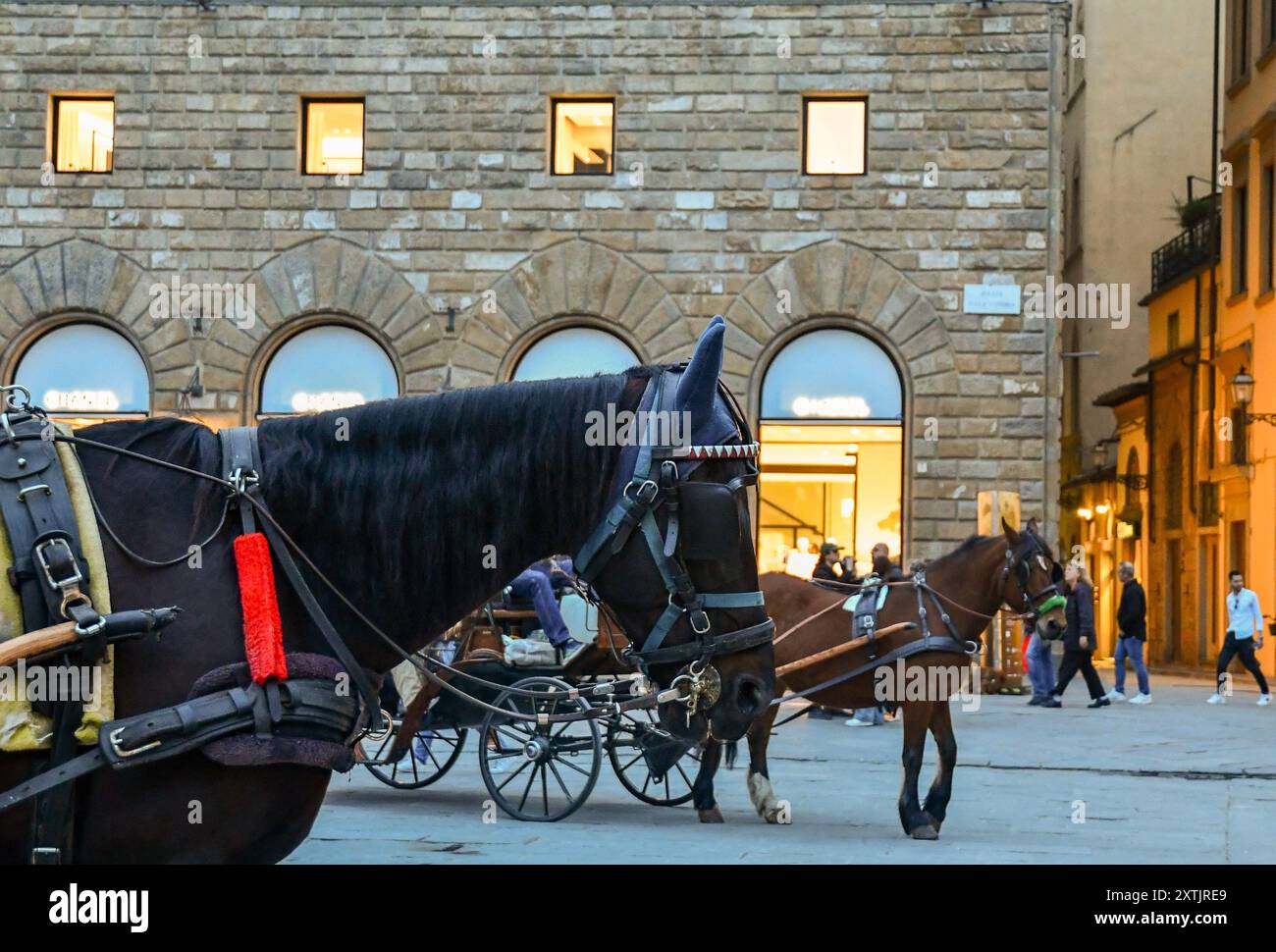 Calèches de tourisme tirées par des chevaux devant le Palazzo delle Assicurazioni Generali (19ème c), dans la Piazza della Signoria centrale, Florence, Italie Banque D'Images