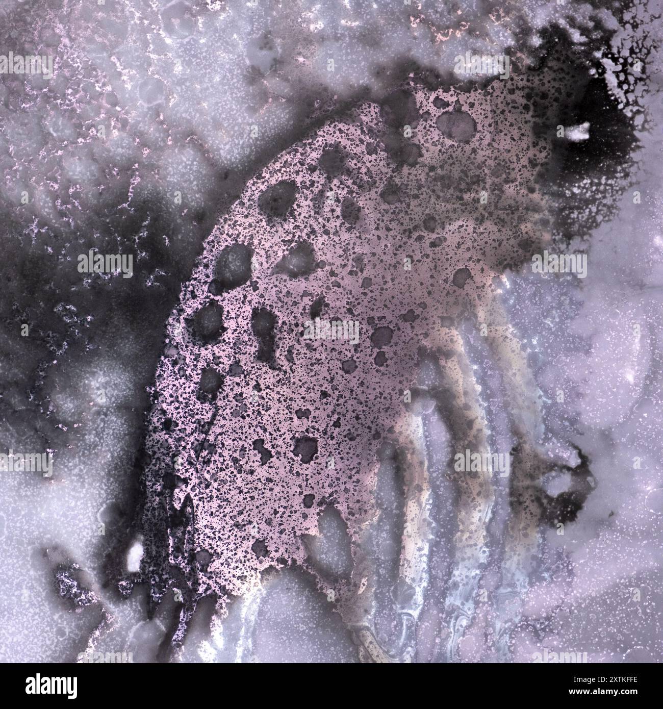 Photographie surréaliste de la créature primordiale. Utilisation de techniques de chimiogramme pour produire des images psychologiques abstraites en utilisant du papier photosensible, des produits chimiques. Banque D'Images