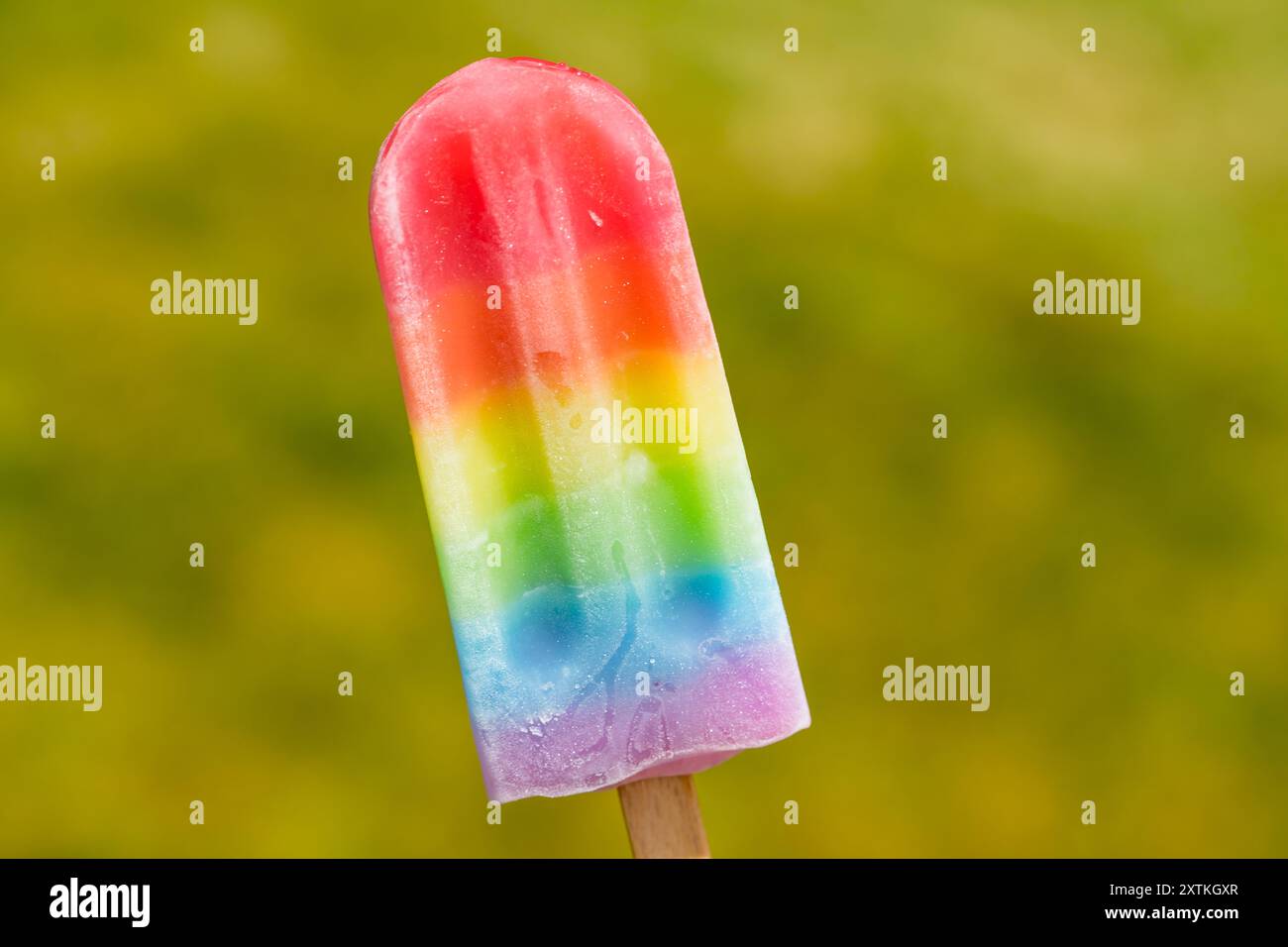 Sweet Summer Rainbow Popsicles avec différentes saveurs de fruits Banque D'Images