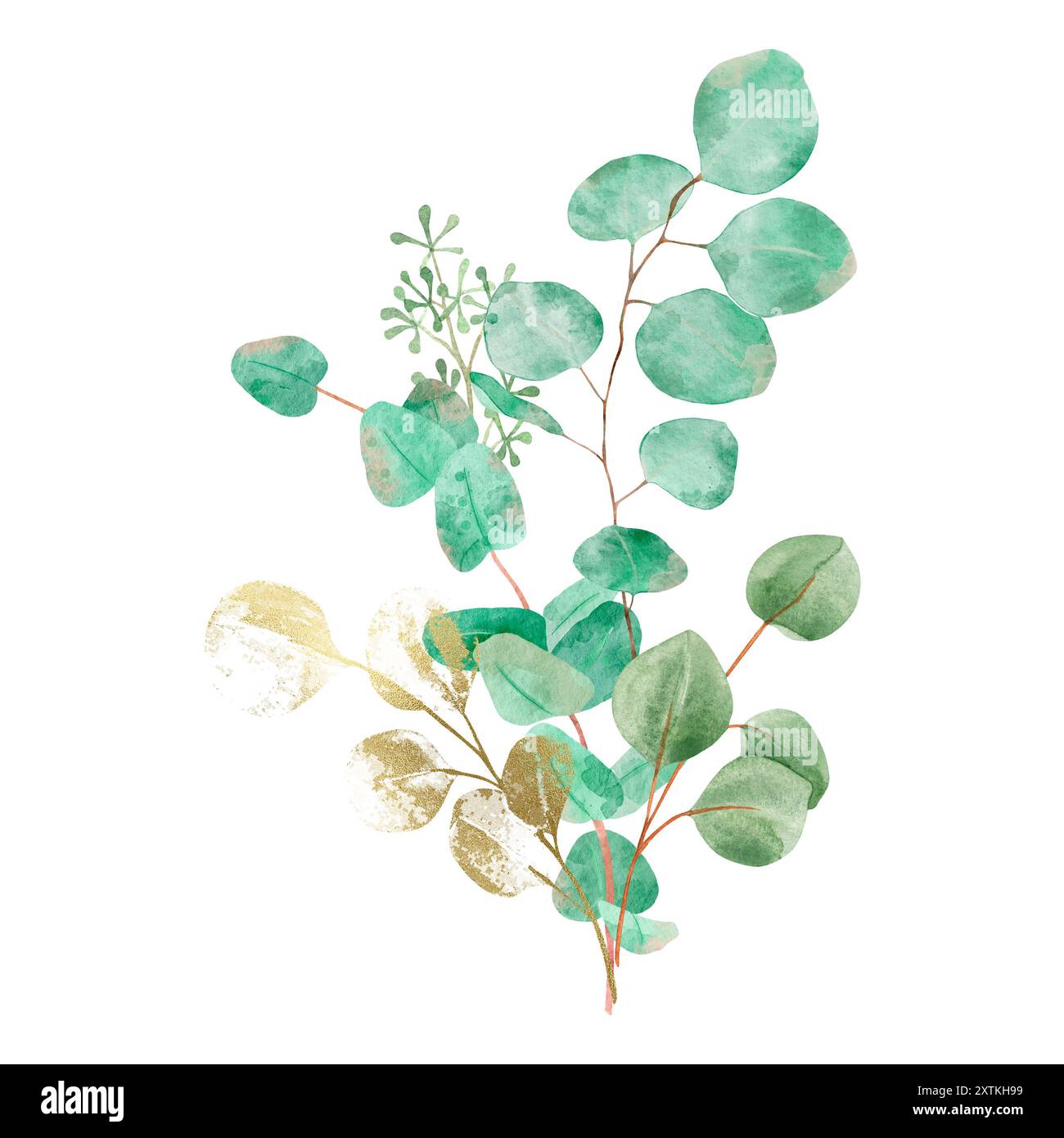 Bouquet d'aquarelle avec branches d'eucalyptus vertes et dorées, isolé sur fond blanc Banque D'Images