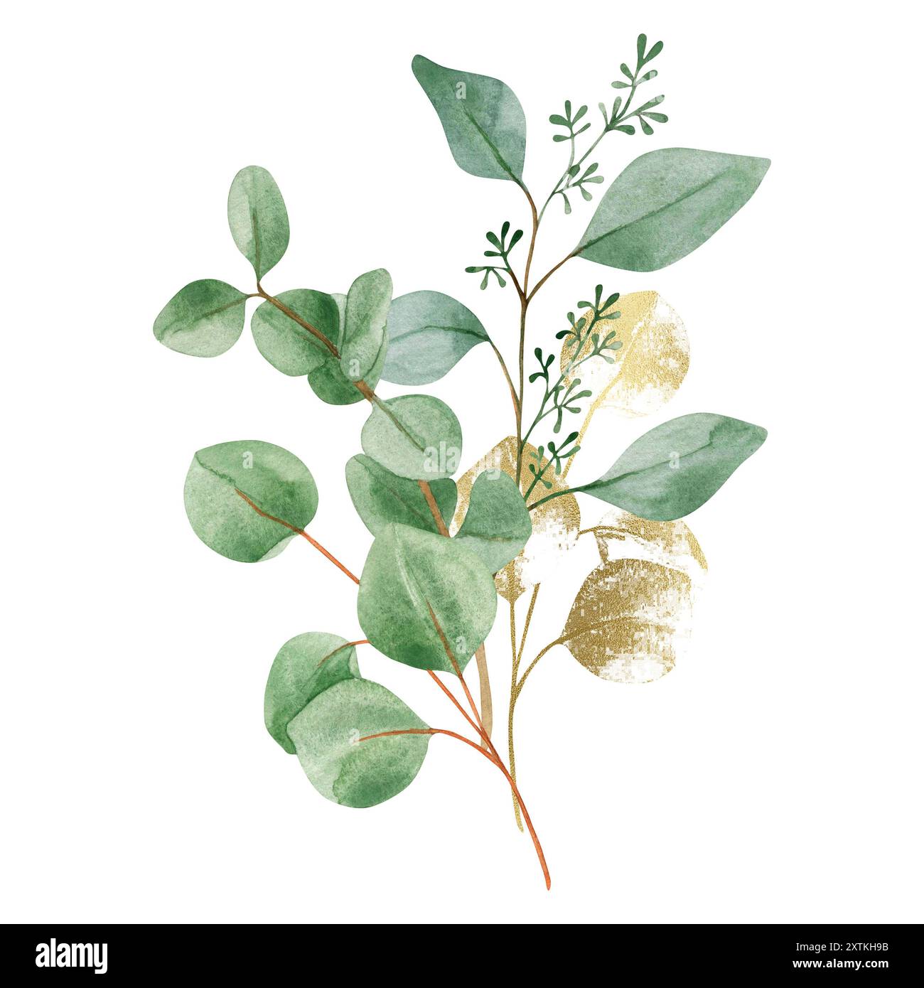 Bouquet d'aquarelle avec branches d'eucalyptus vertes et dorées, isolé sur fond blanc Banque D'Images