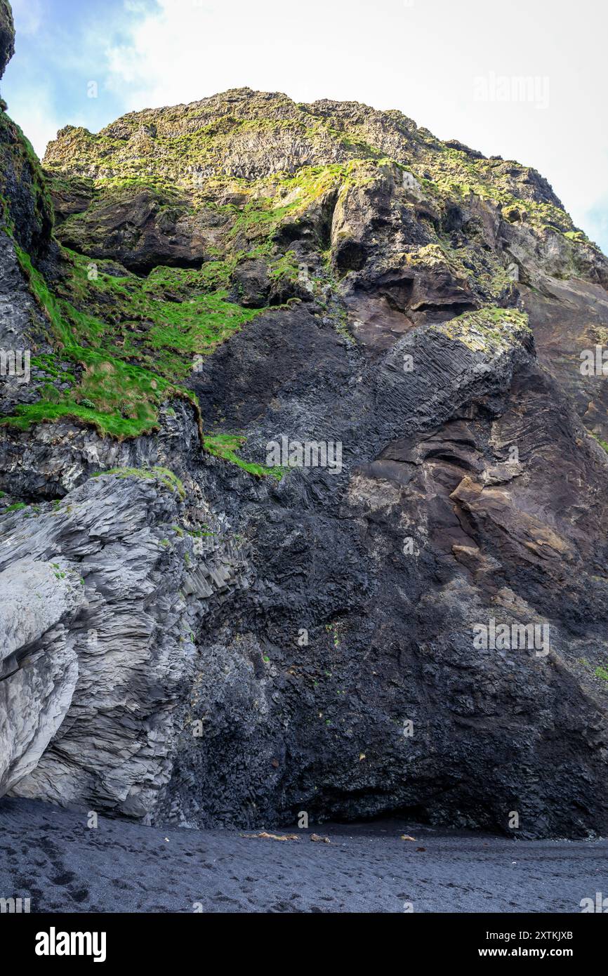 Grotte Halsanefshellir faite de colonnes de basalte sur la plage de sable noir de Reynisfjara, formations rocheuses volcaniques recouvertes de mousse, Islande. Banque D'Images