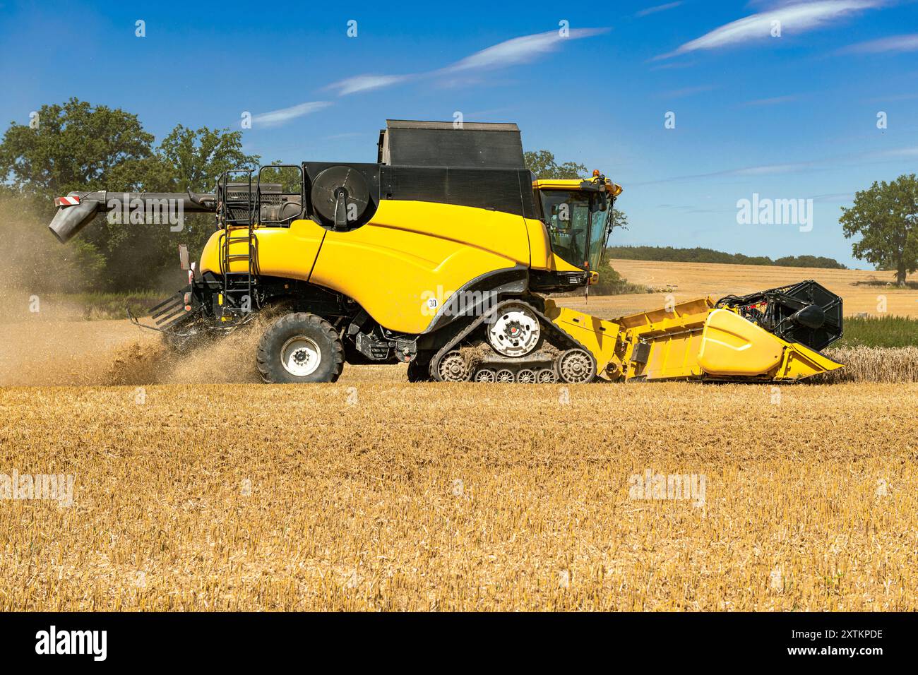Moissonneuse-batteuse dans le champ de céréales - 1807 Banque D'Images