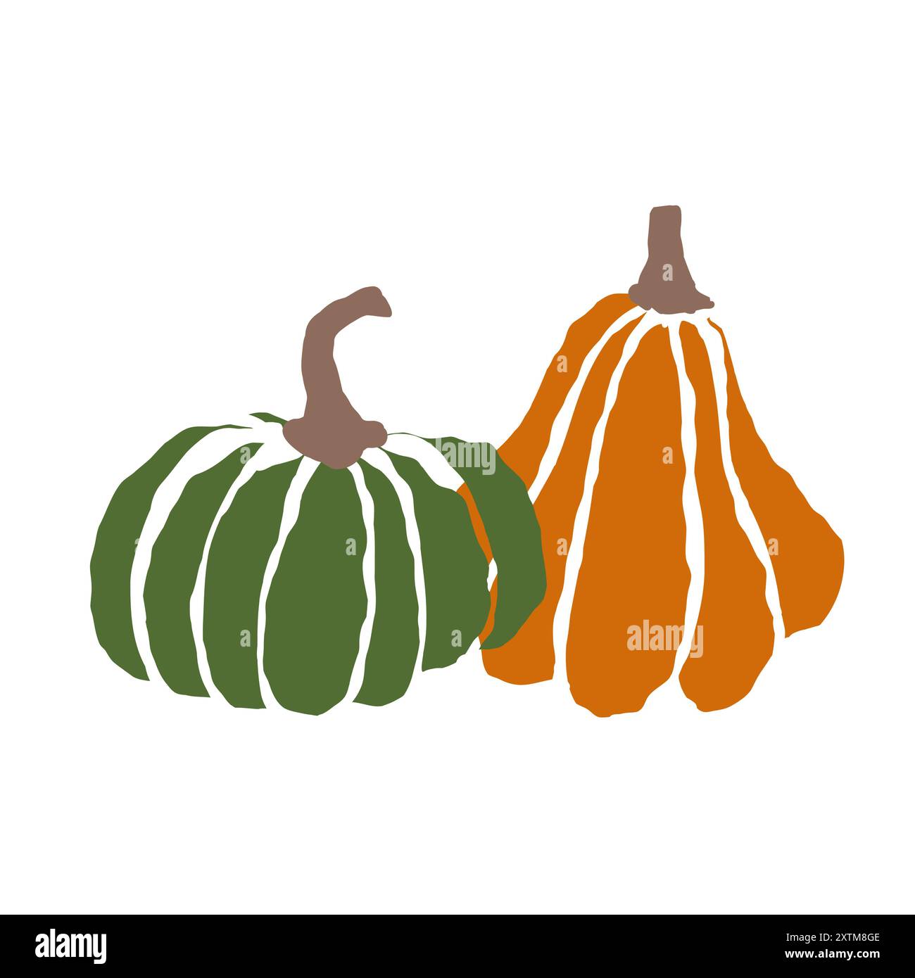 Deux citrouilles colorées exposées ensemble, mettant en valeur la beauté des récoltes de l’automne Illustration de Vecteur