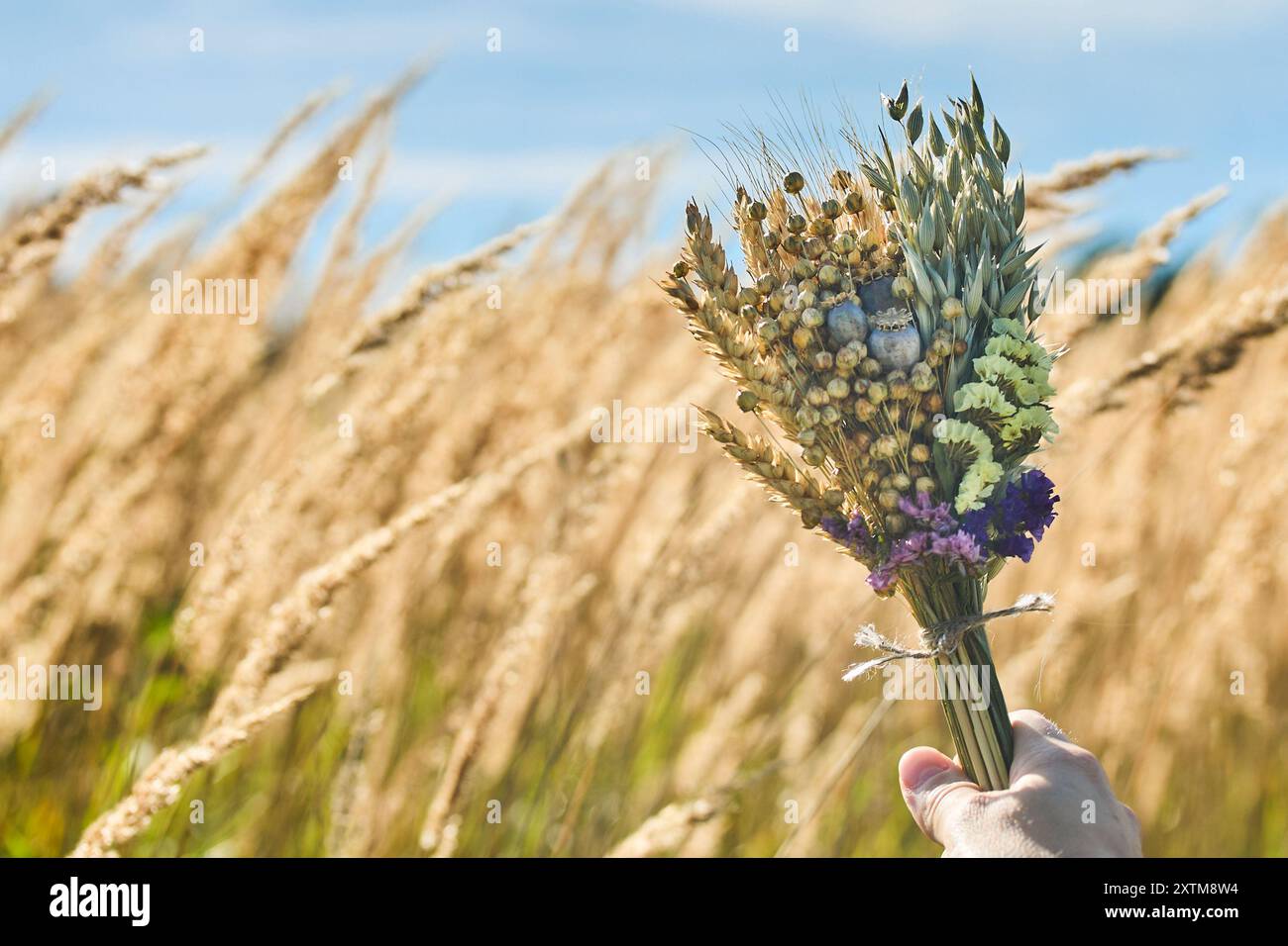 Jour de l'Assomption de Marie. Bouquet dans le champ de blé Banque D'Images