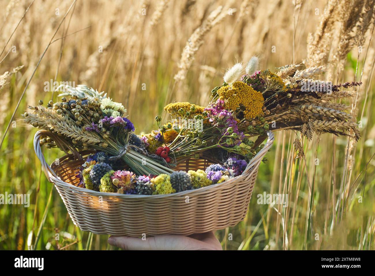 Jour de l'Assomption de Marie. Panier de fleurs sauvages Banque D'Images