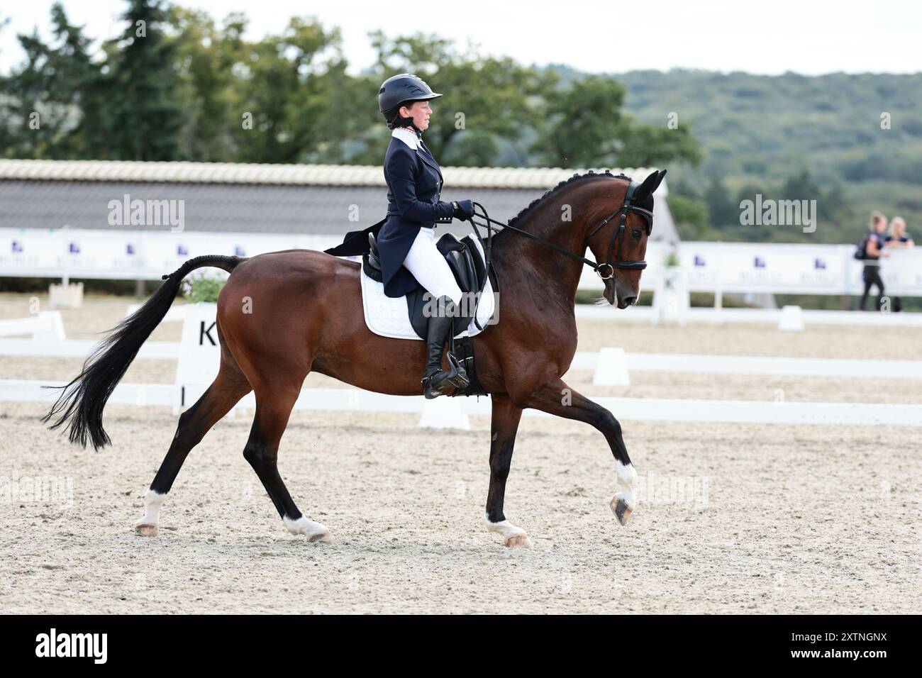 Gesves, Belgique, 15 août 2024, Nina HUT des pays-Bas avec Carthageno pendant le dressage du CCIO4*-NC-S · Prix Adeps au concours complet International d'Arville le 15 août 2024, Gesves, Belgique (photo de Maxime David - MXIMD Pictures) Banque D'Images