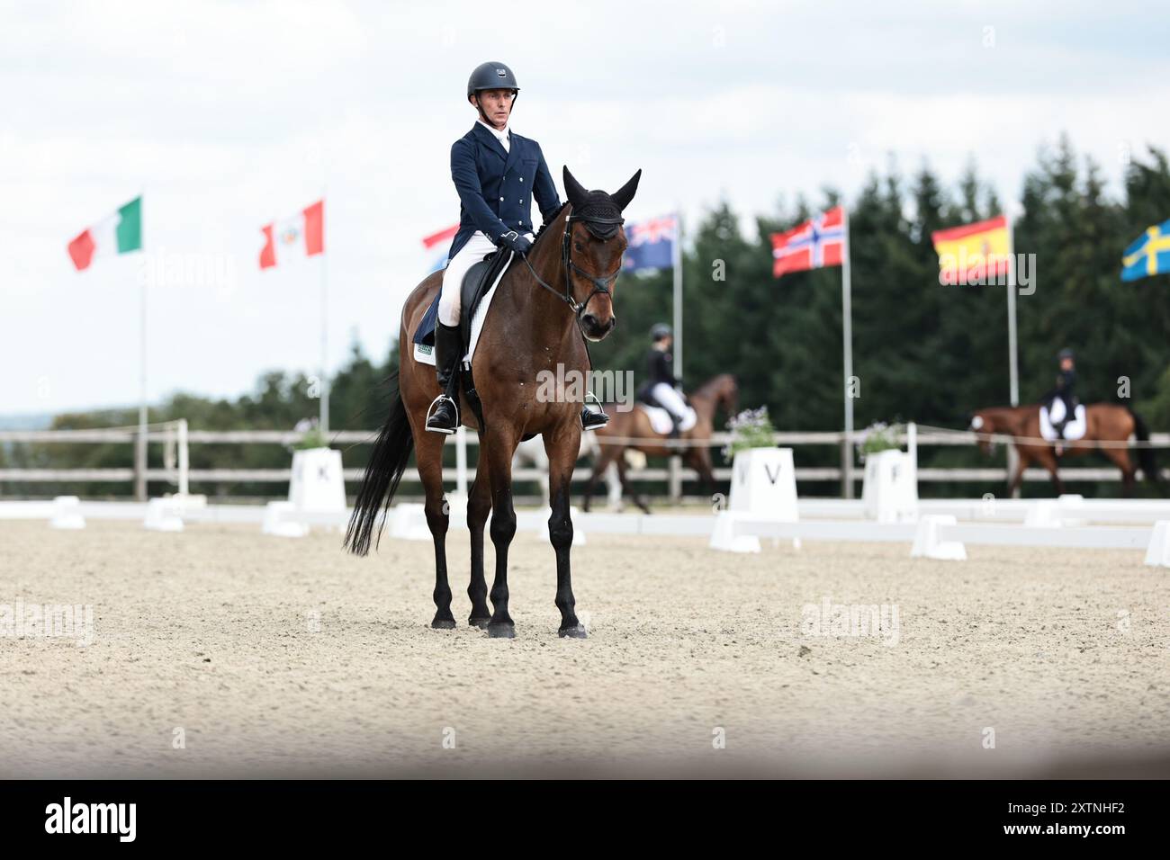 Gesves, Belgique, 15 août 2024, Bruce HASKELL de Nouvelle-Zélande avec ex Cavalier's Law pendant le dressage du CCIO4*-NC-S · Prix Adeps au concours complet International d'Arville le 15 août 2024, Gesves, Belgique (photo de Maxime David - MXIMD Pictures) Banque D'Images