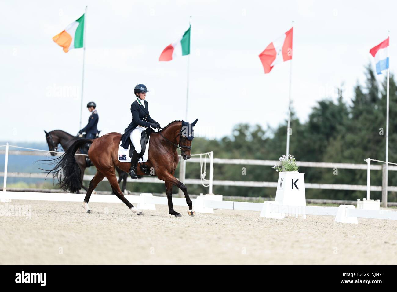 Gesves, Belgique, 15 août 2024, Shenae LOWINGS d'Australie avec Bold Venture pendant le dressage de CCIO4*-NC-S · Prix Adeps au concours complet International d'Arville le 15 août 2024, Gesves, Belgique (photo de Maxime David - MXIMD Pictures) Banque D'Images