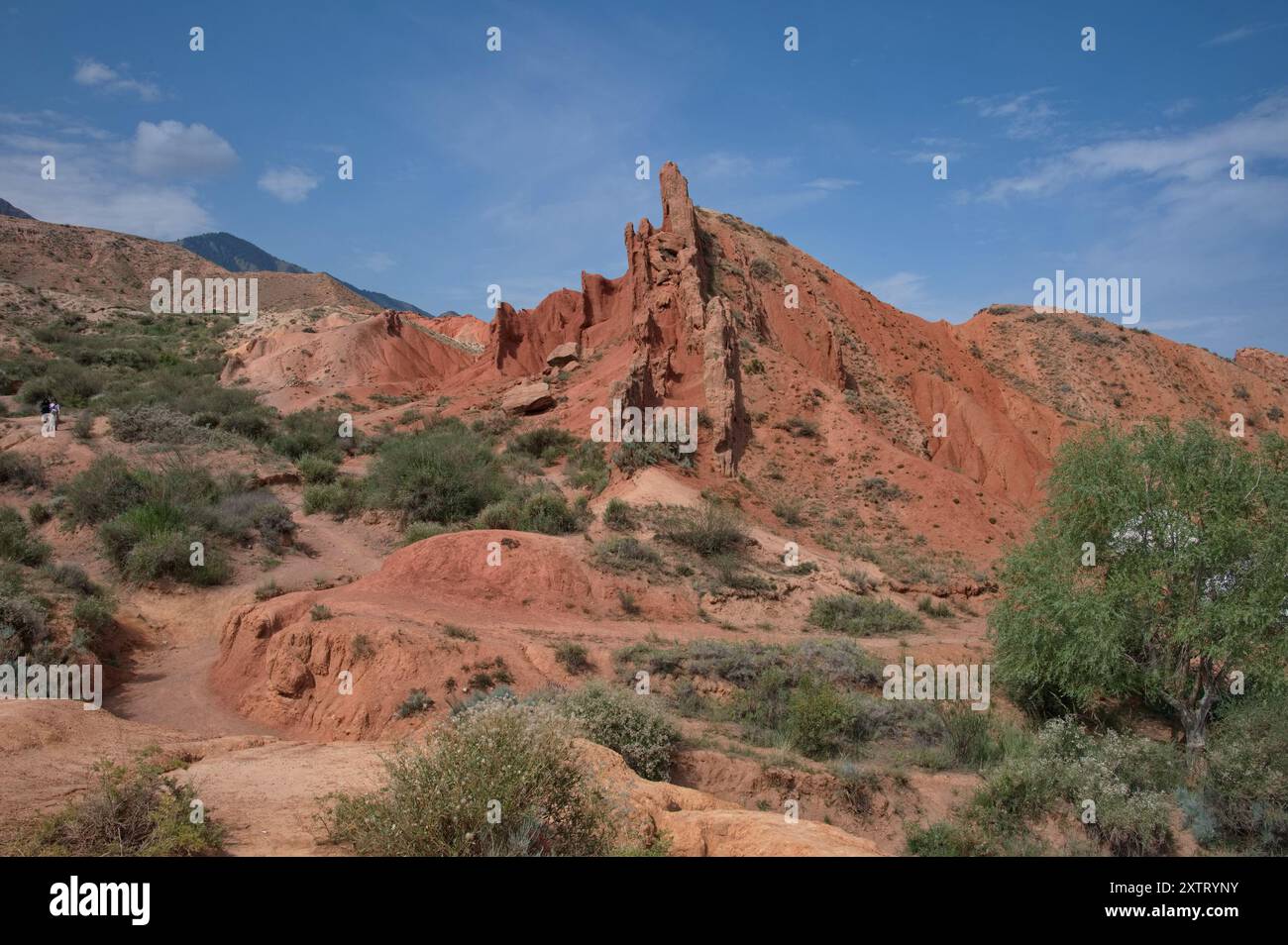 Beau paysage de Skazka Canyon au Kirghizistan Banque D'Images