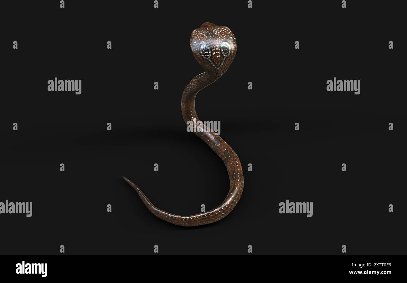 Illustration 3d King Cobra le plus long serpent venimeux du monde isolé sur fond noir, King Cobra Snake avec Clipping Path. Banque D'Images