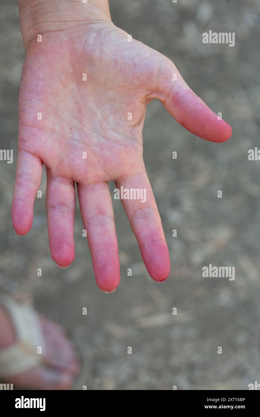 Femme montrant sa main peinte en rouge, le résultat du travail avec la teinture Banque D'Images