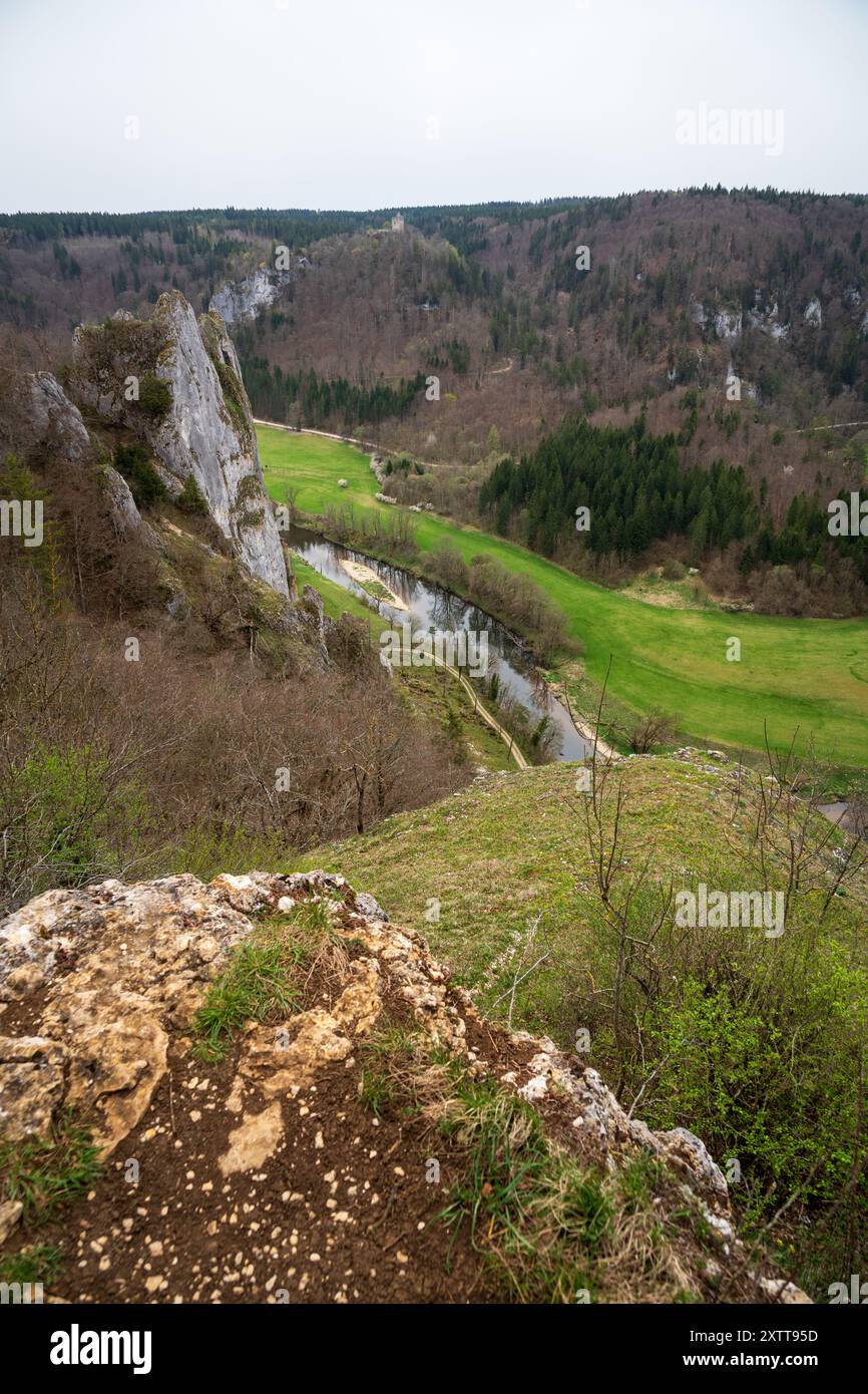 Stiegelesfels-Oberes Donautal, district de Tuttlingen, Bade-Württemberg , Allemagne Banque D'Images