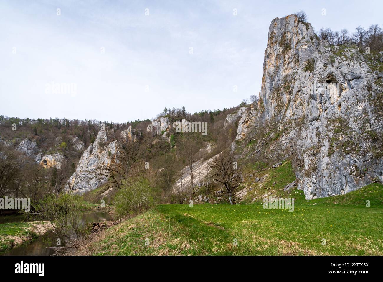 Stiegelesfels-Oberes Donautal, district de Tuttlingen, Bade-Württemberg , Allemagne Banque D'Images