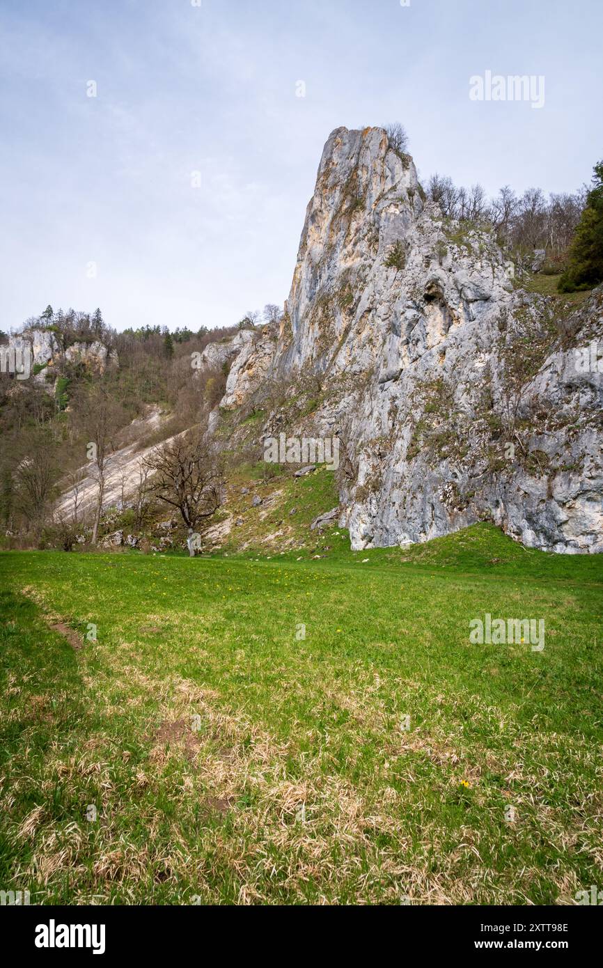 Stiegelesfels-Oberes Donautal, district de Tuttlingen, Bade-Württemberg , Allemagne Banque D'Images